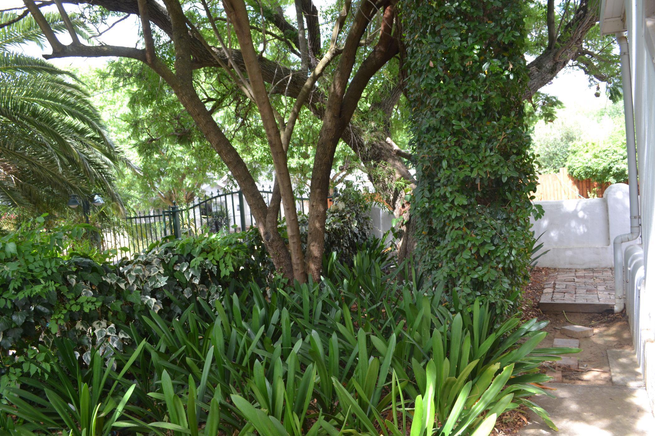 Image 63