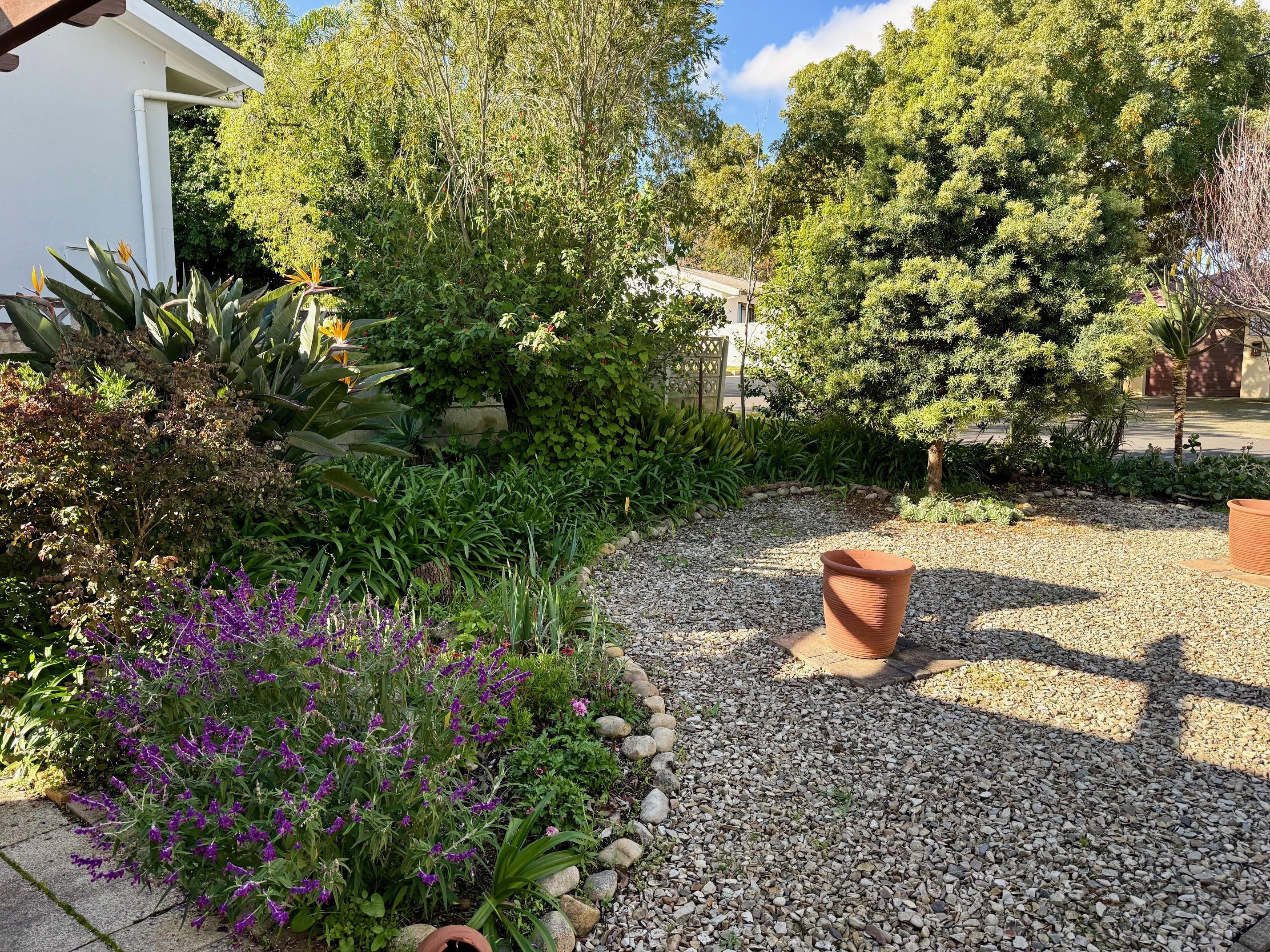 Image 29