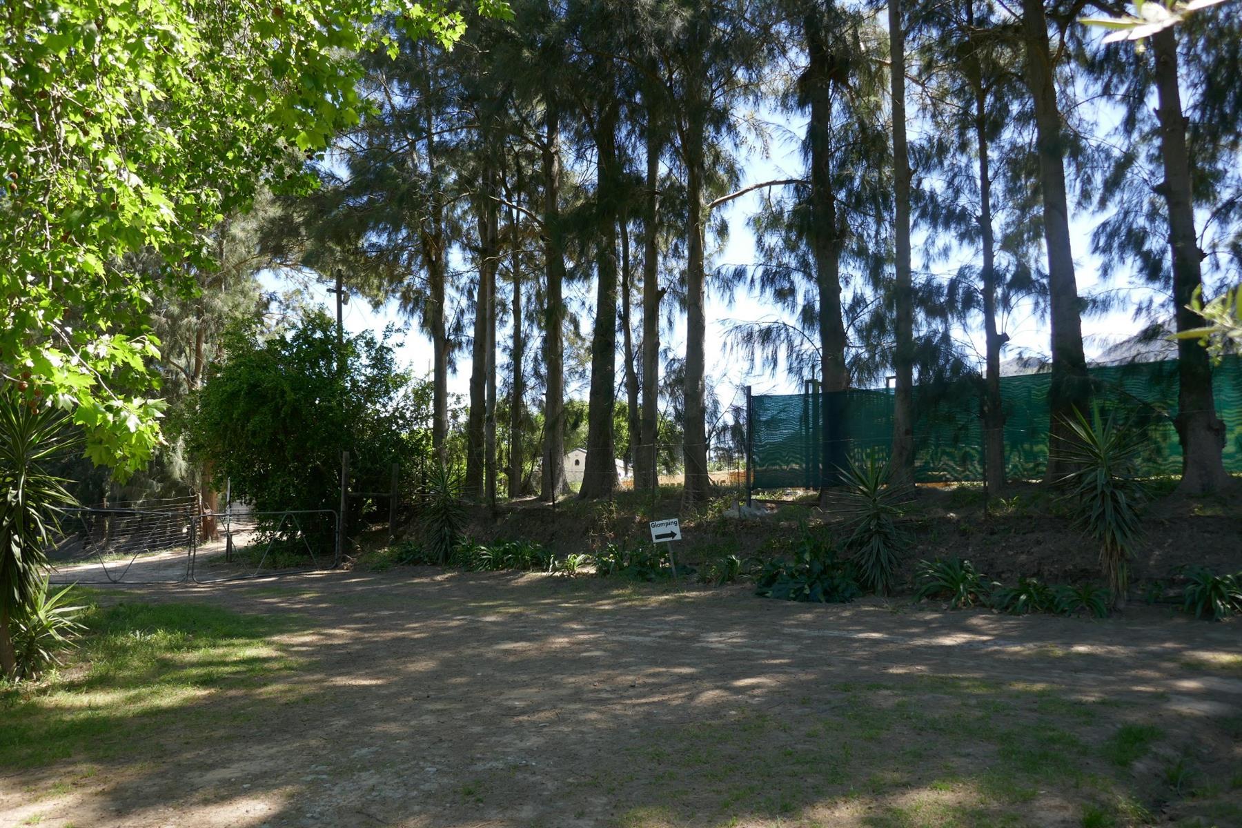 Image 42