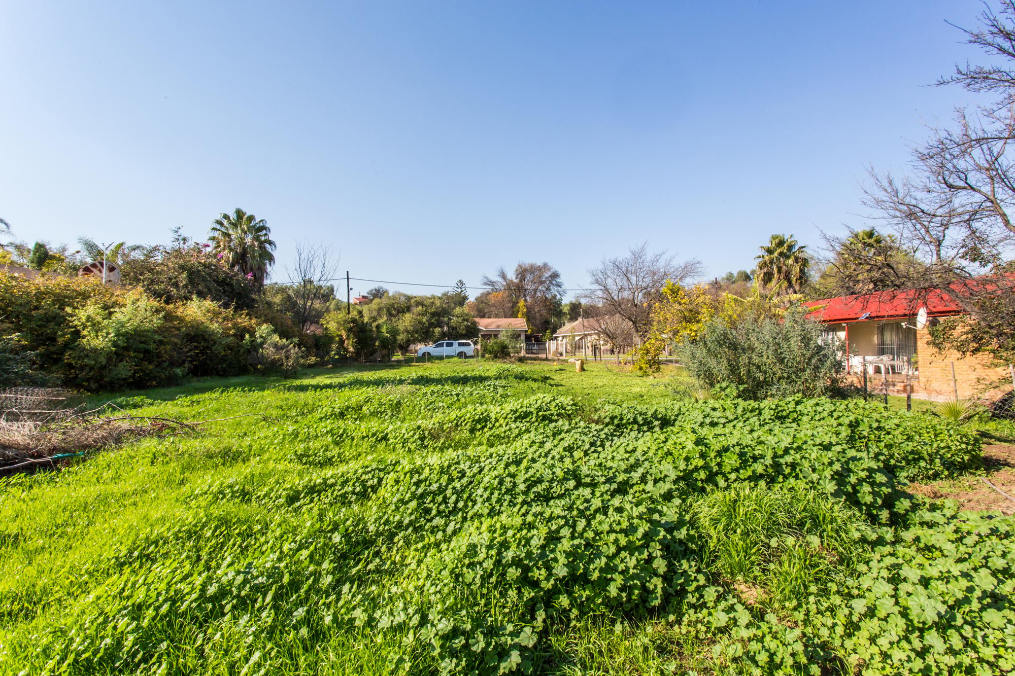 Image 2 of 6