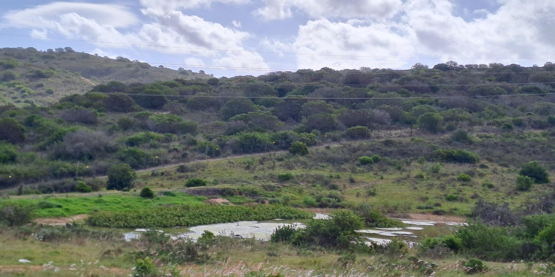 Image 4 of 6