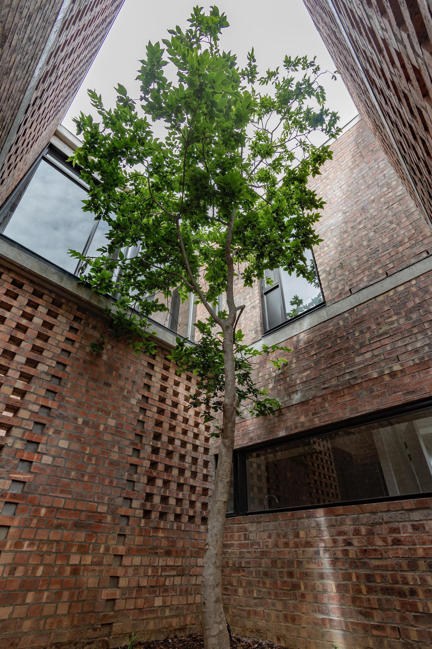 Image 29