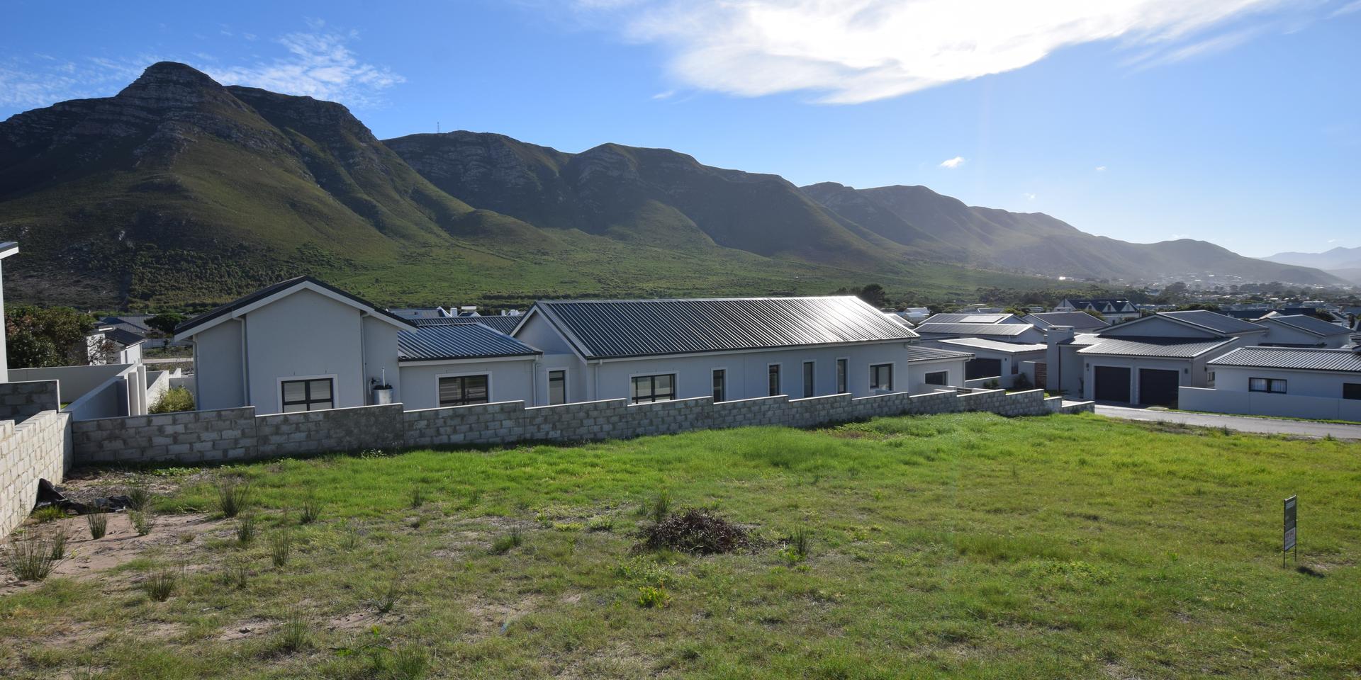 Image 4 of 6