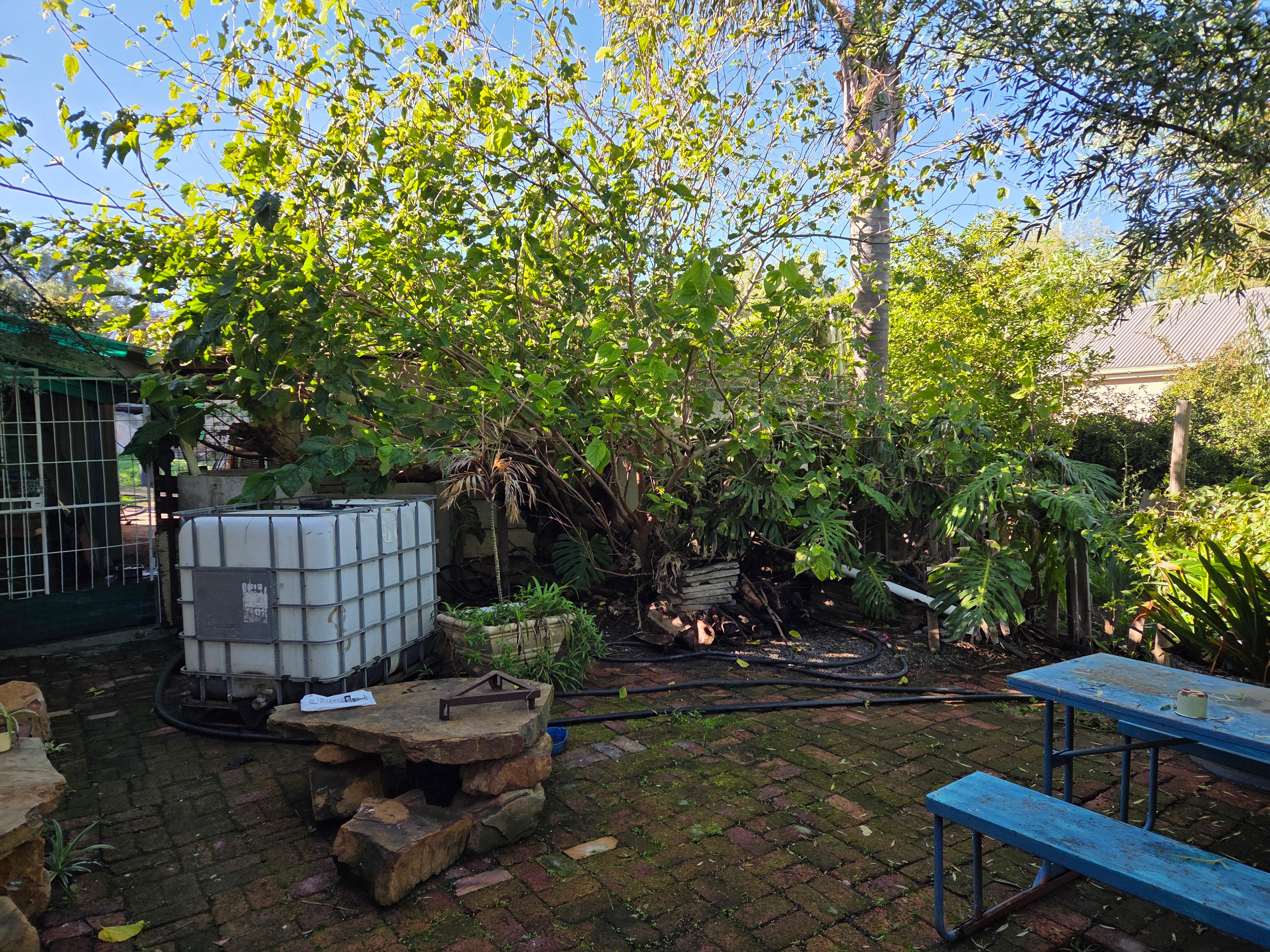 Image 4 of 6