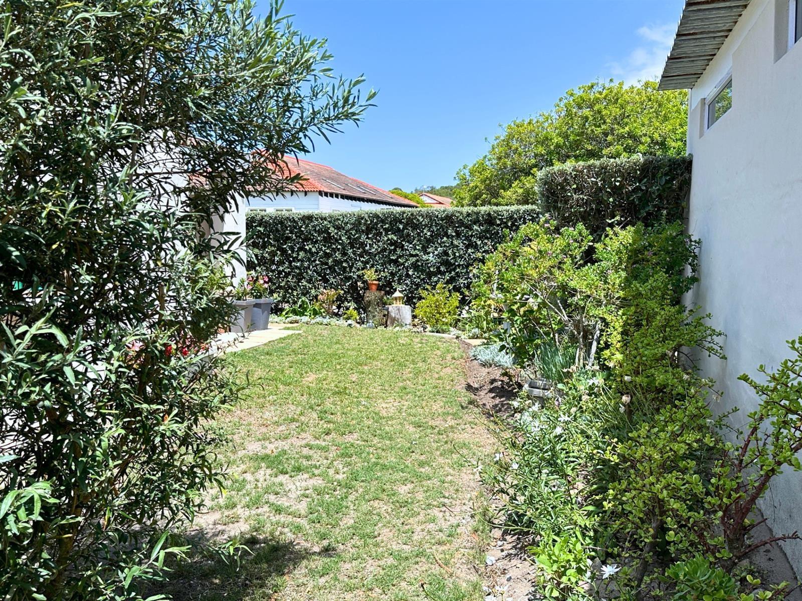 Image 29
