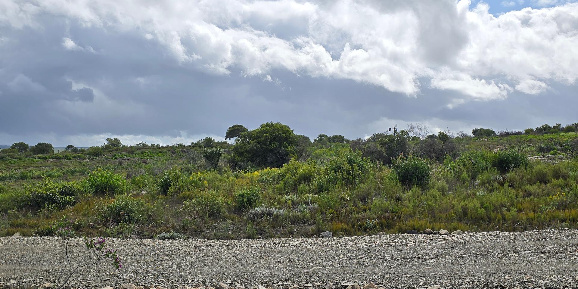 Image 4 of 6