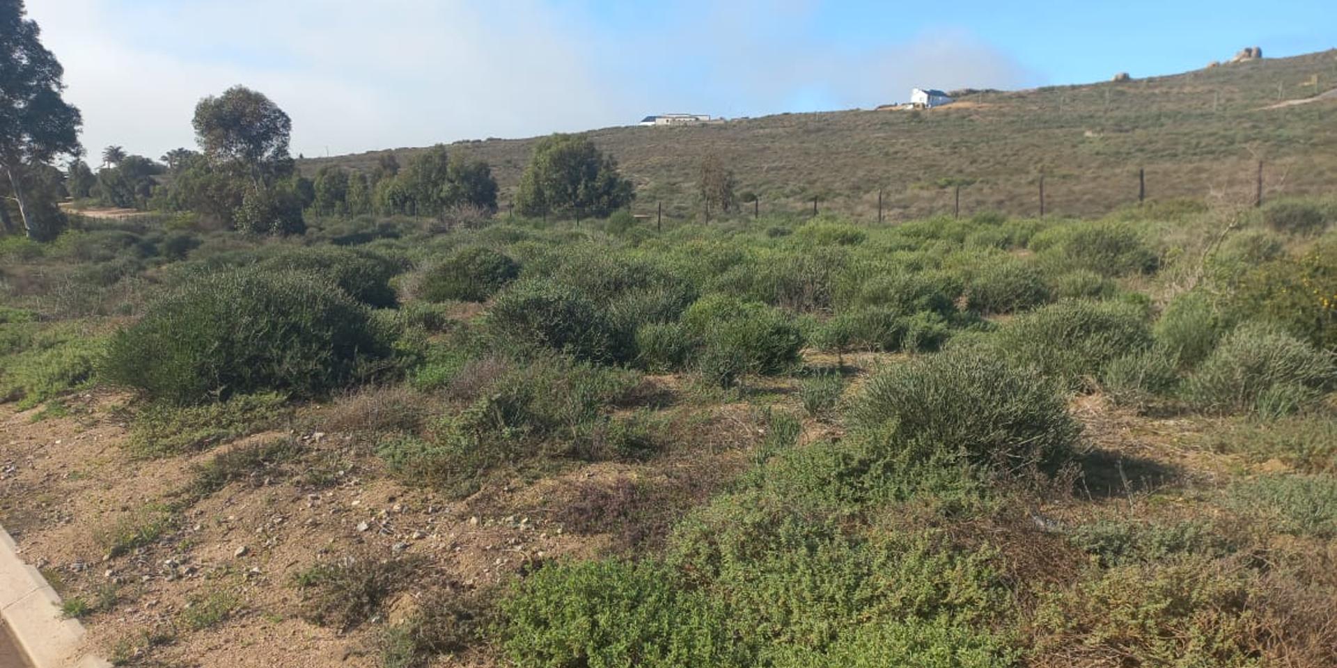 Image 5 of 6