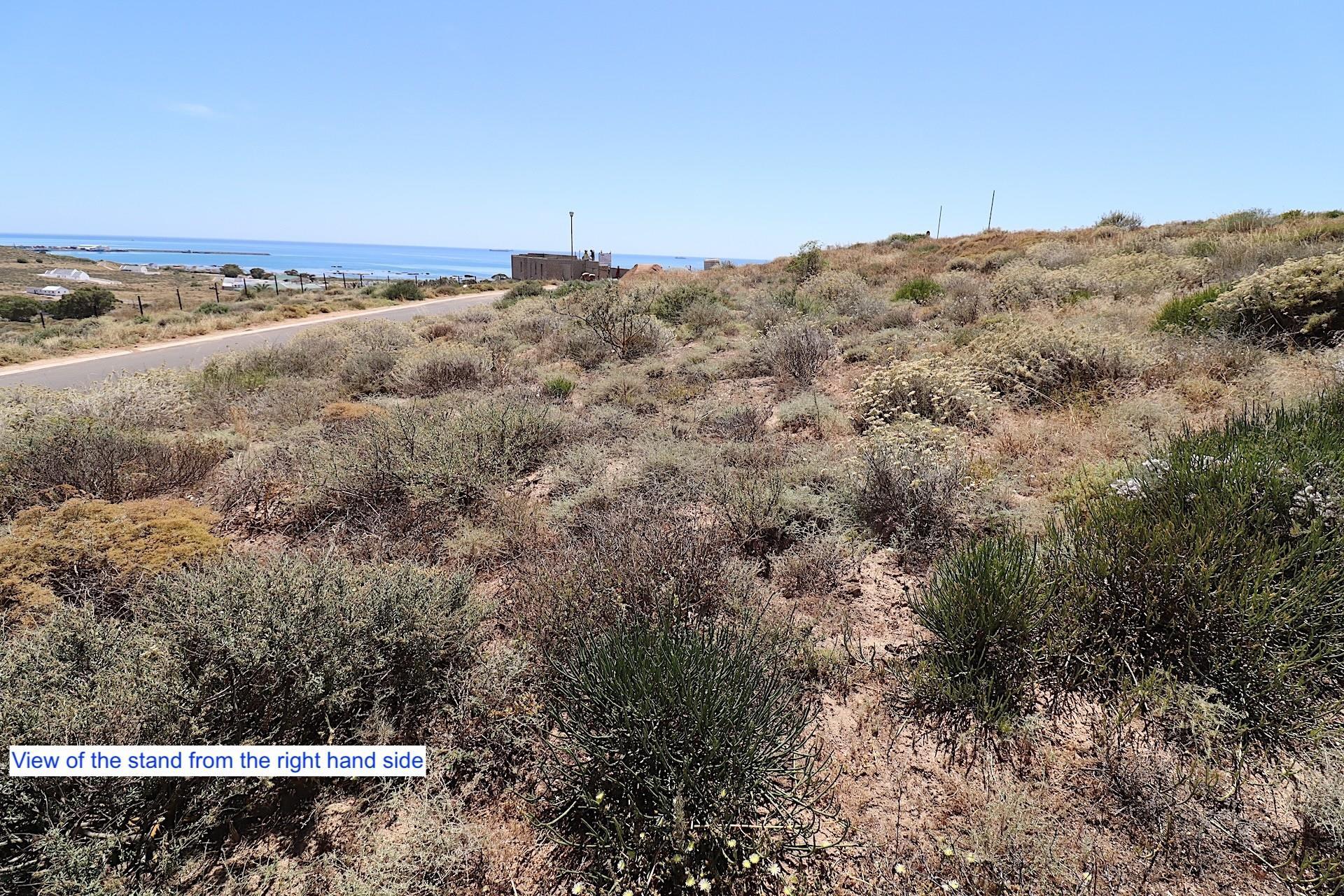 Image 4 of 6