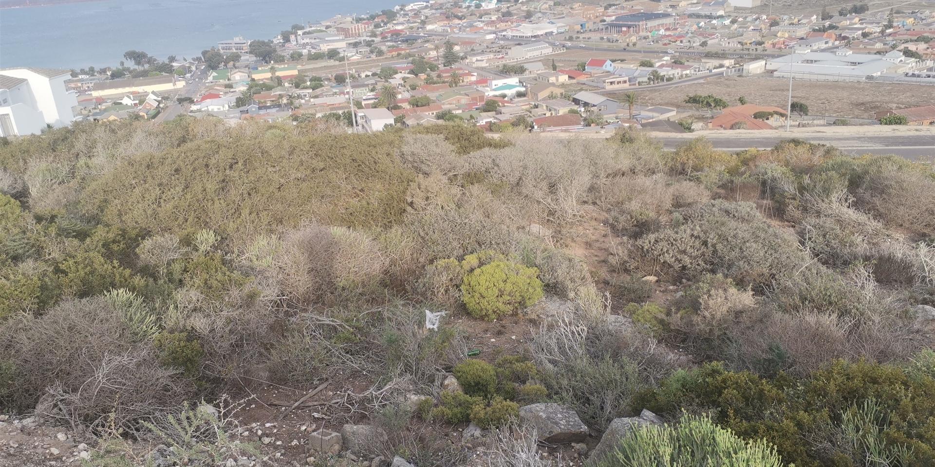 Image 3 of 6