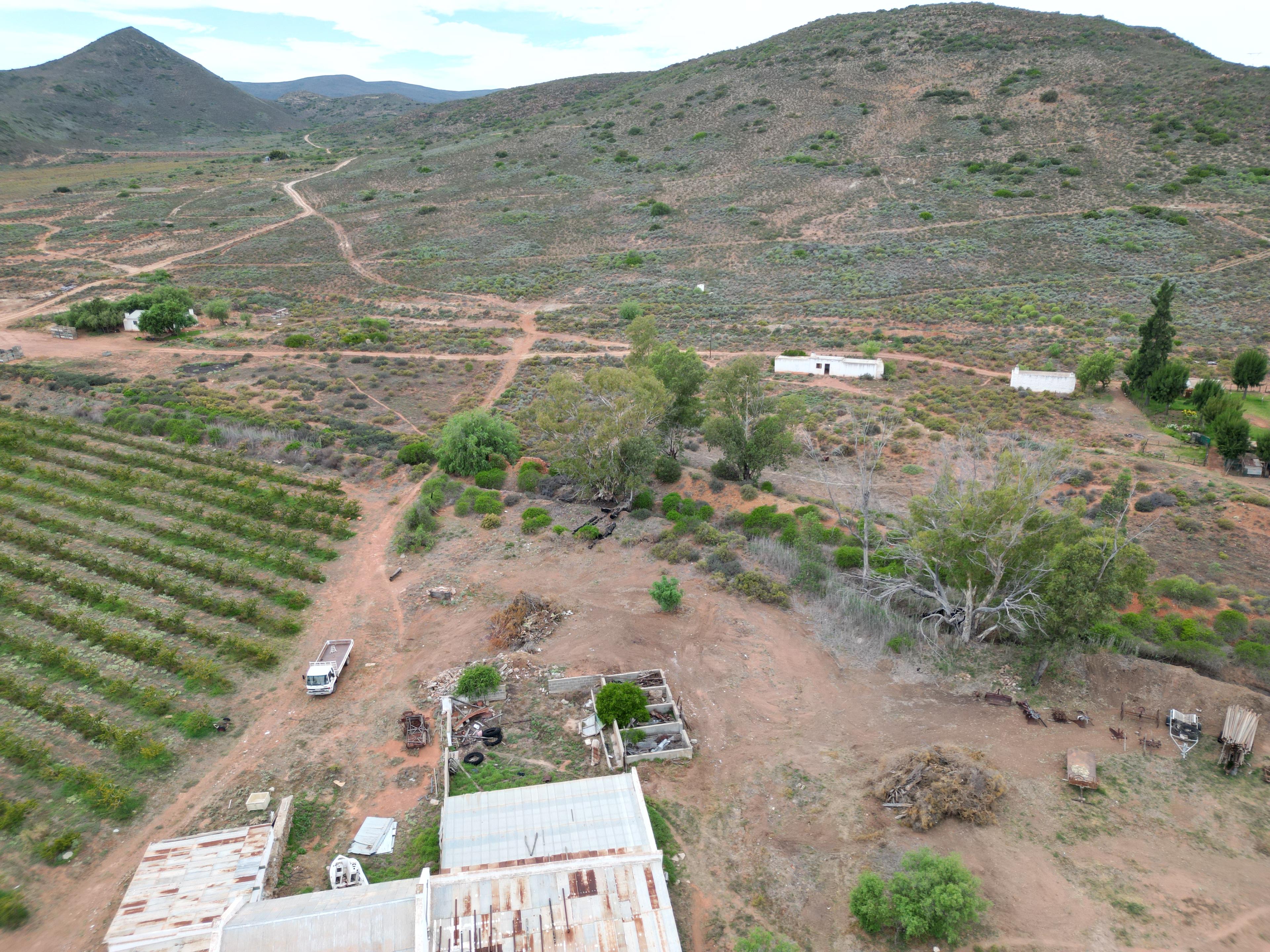 Image 12