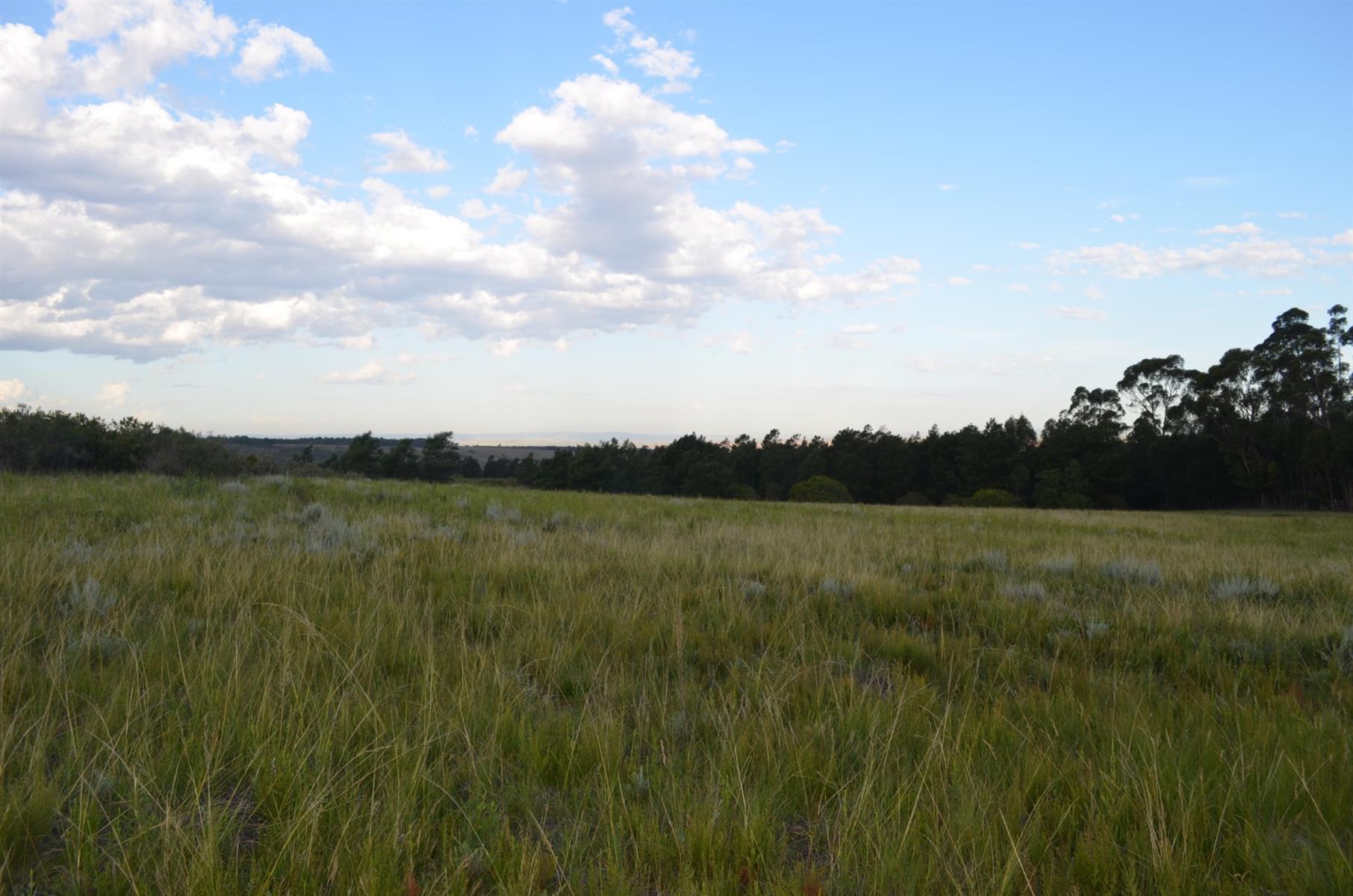 Image 34