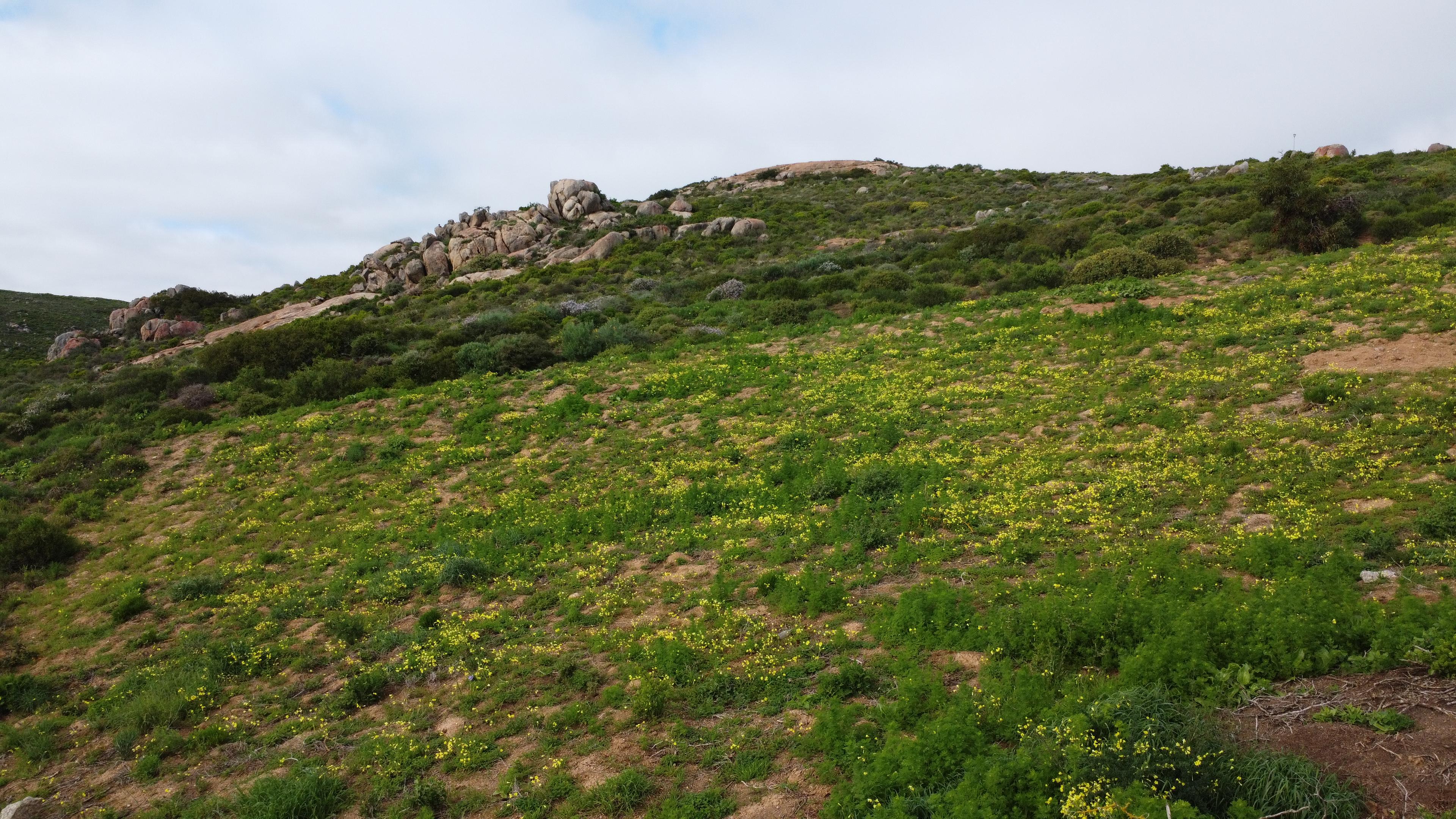 Image 4 of 6