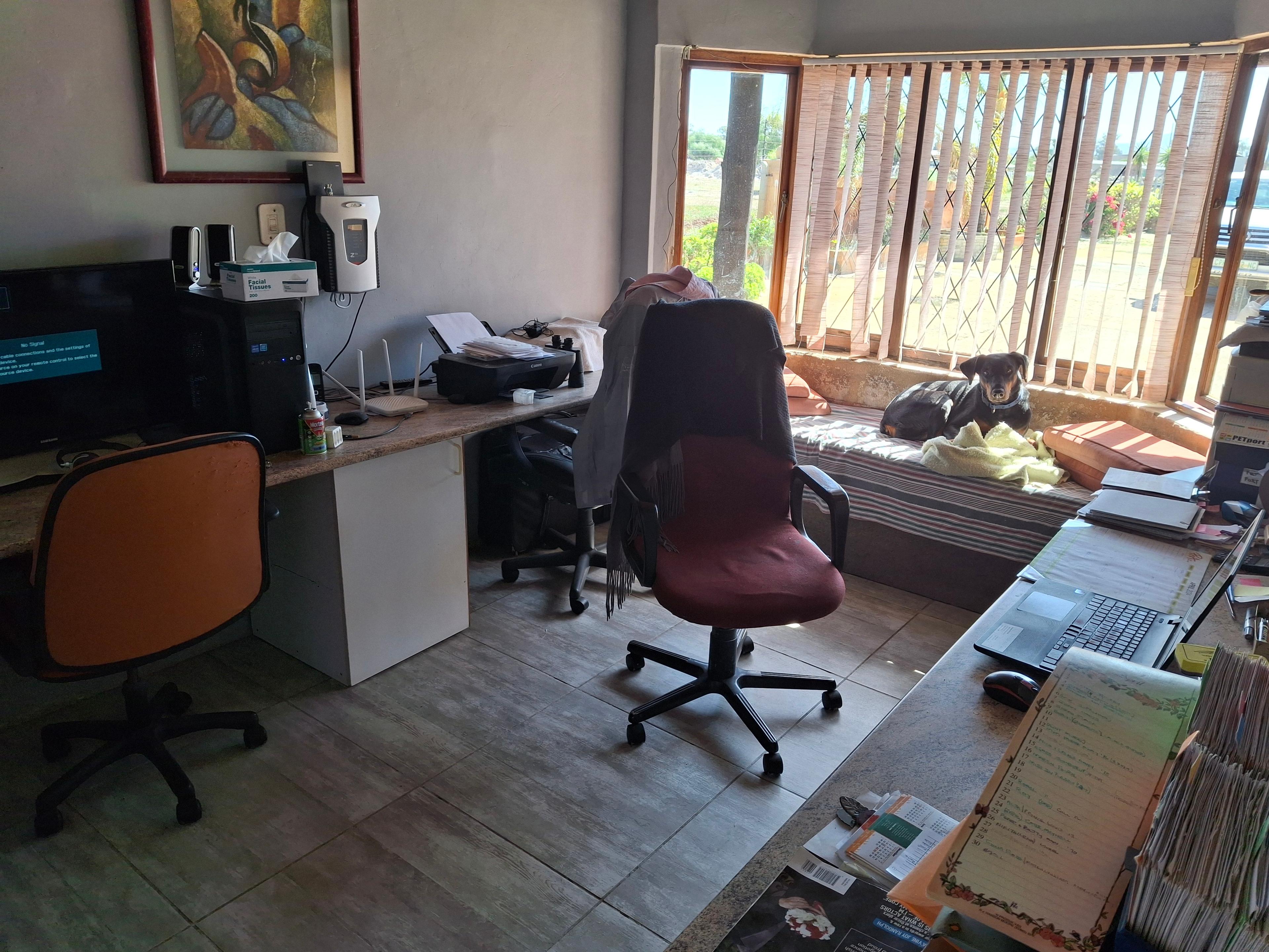 Image 4 of 6