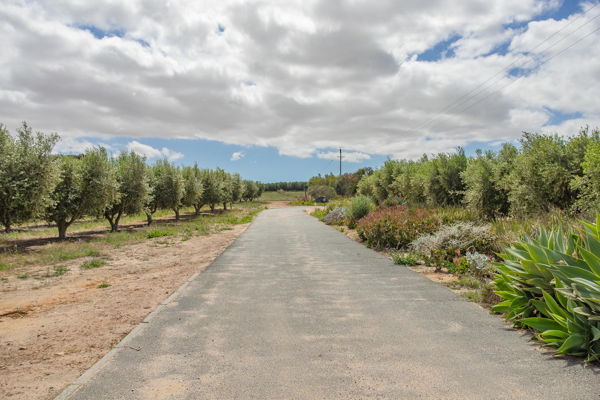 Image 26