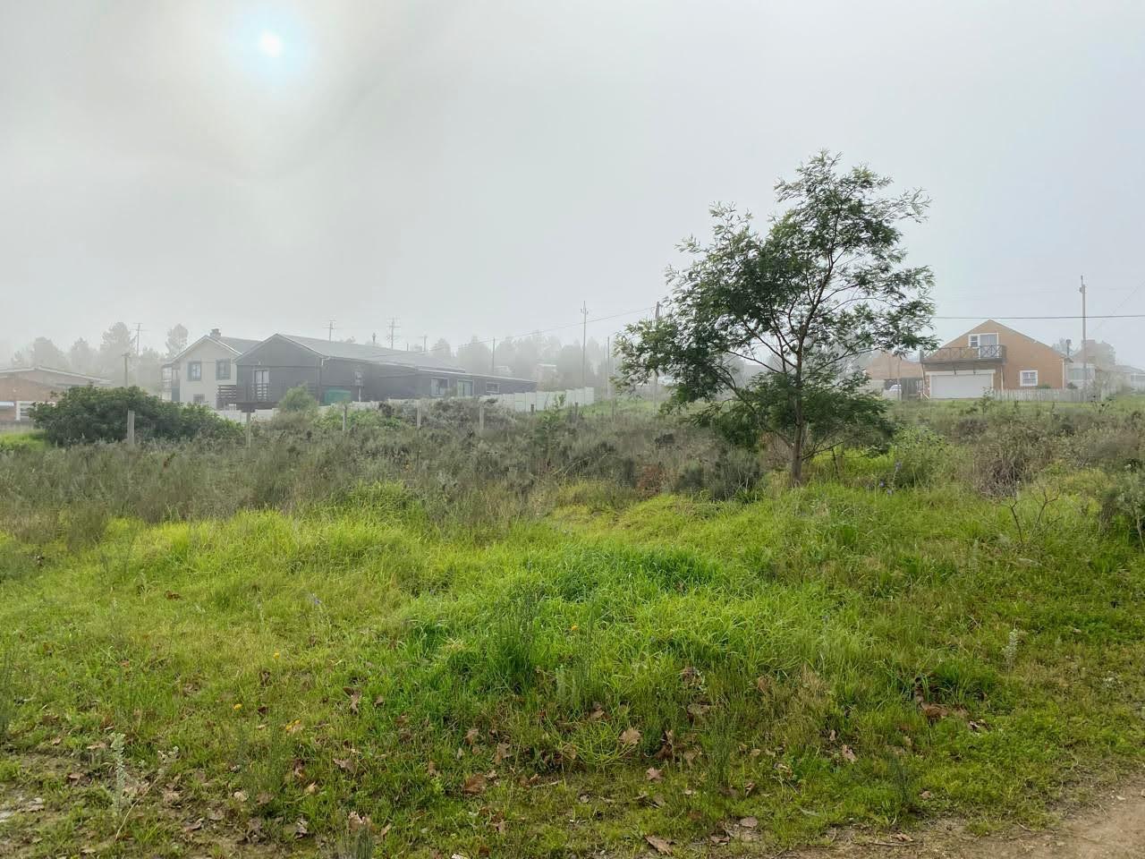 Image 3 of 6
