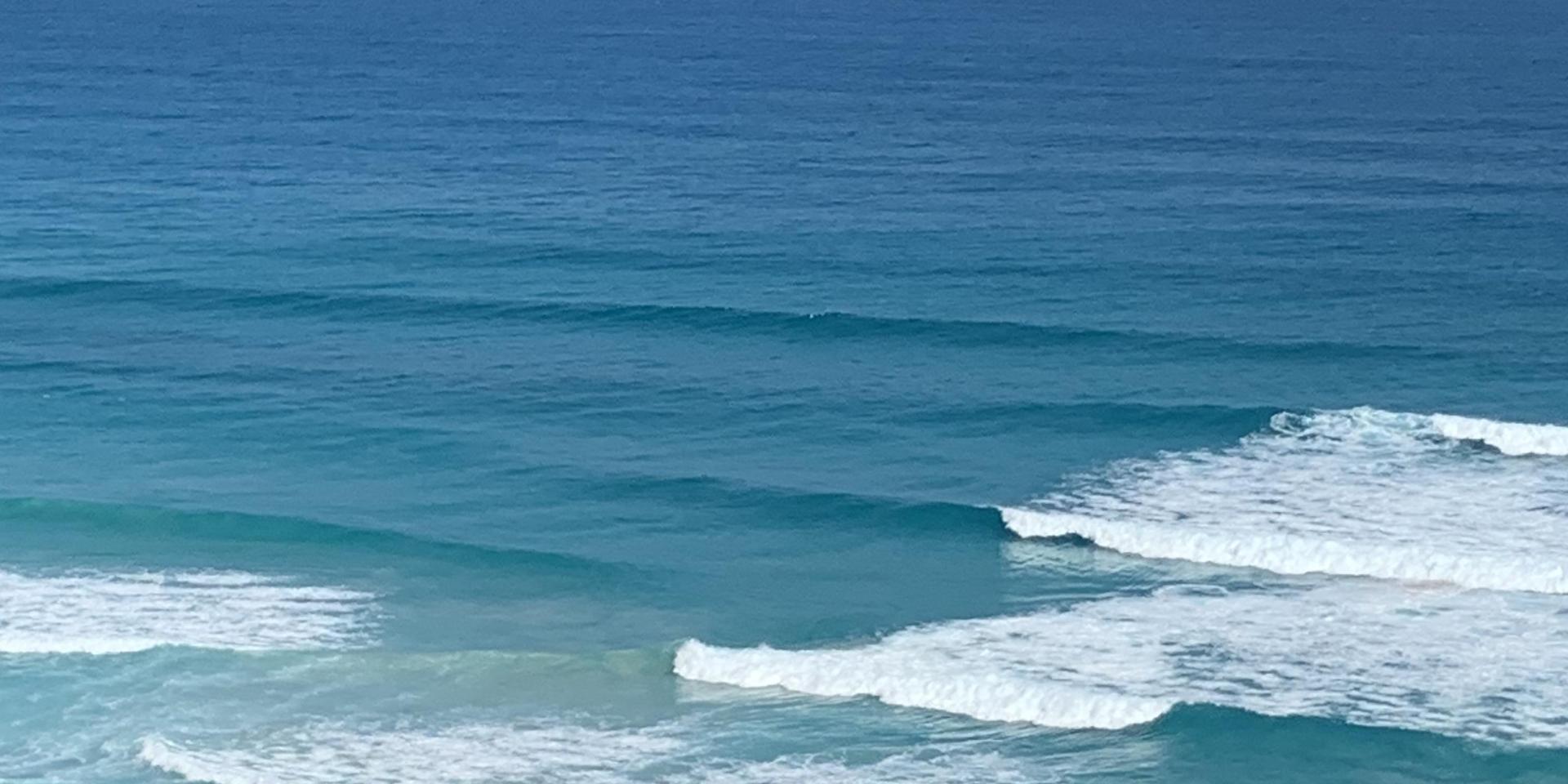 Image 4 of 6