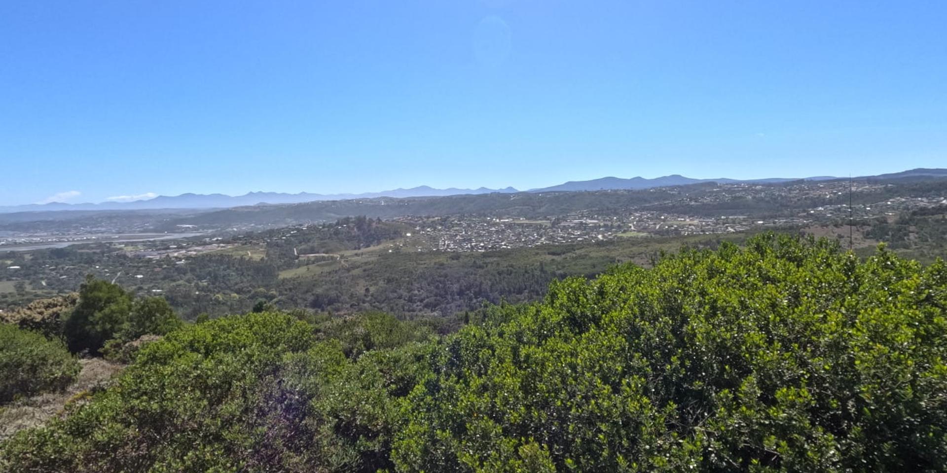 Image 5 of 6