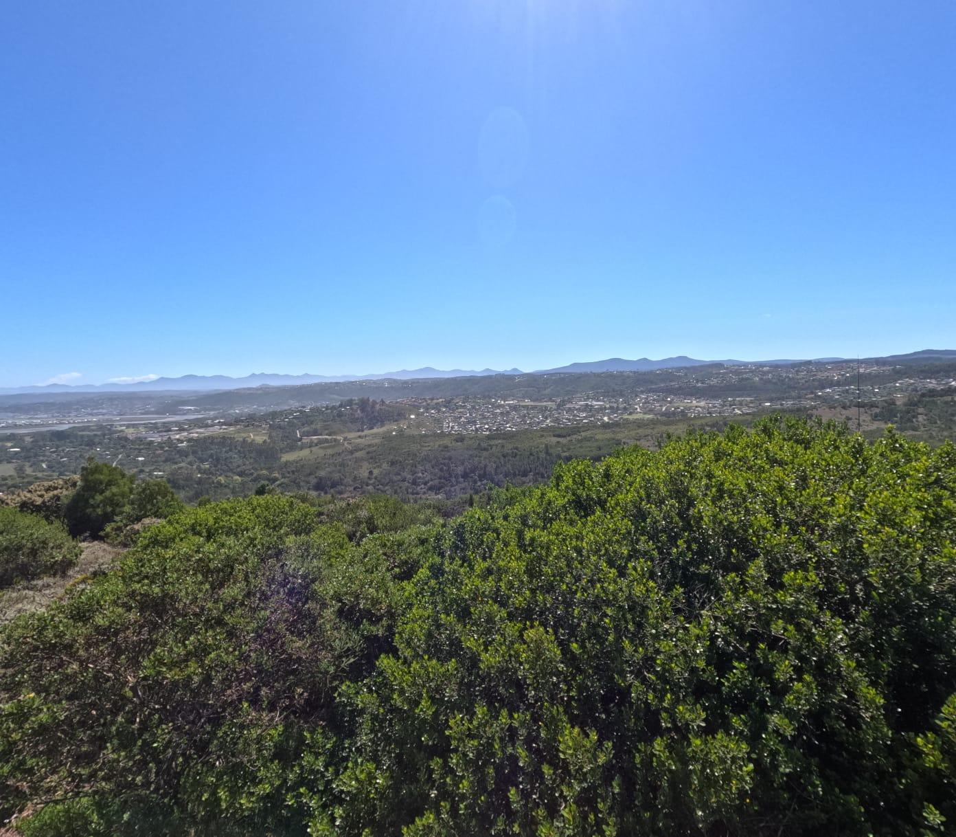 Image 5 of 6