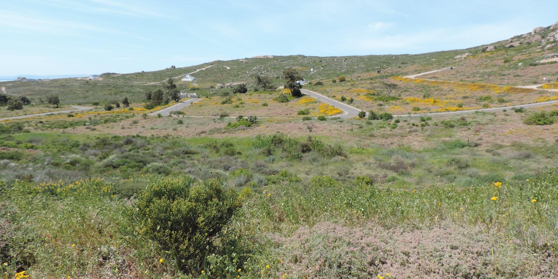 Image 5 of 6
