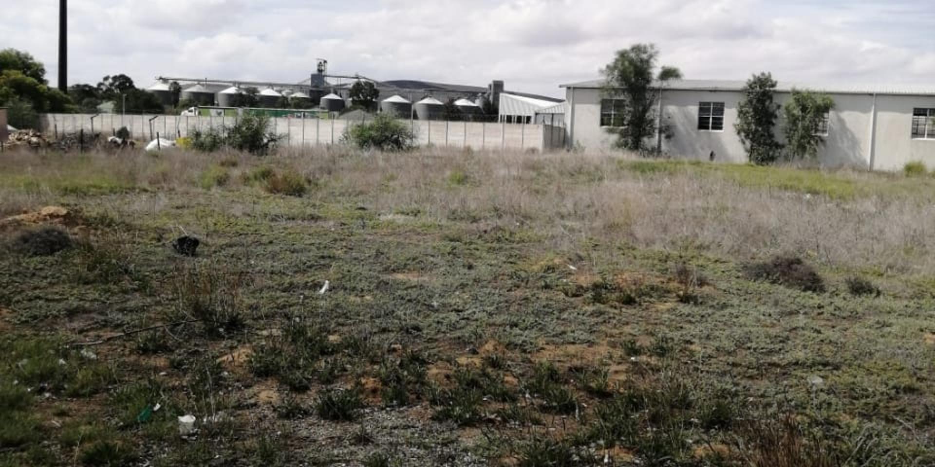 Image 3 of 6