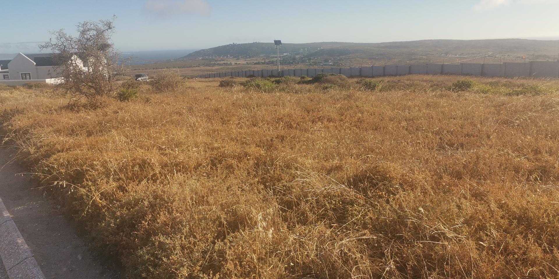 Image 5 of 6