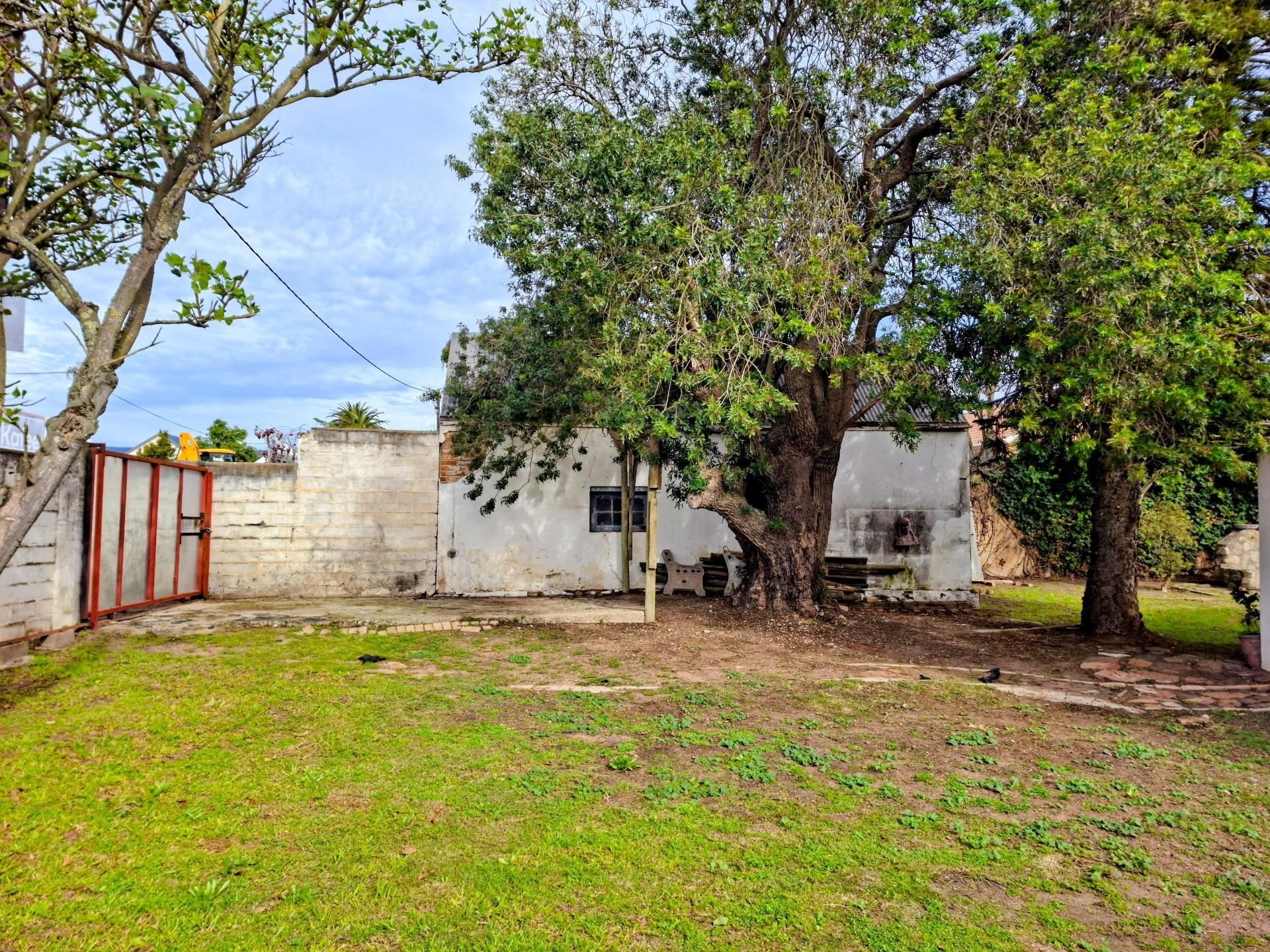 Image 45