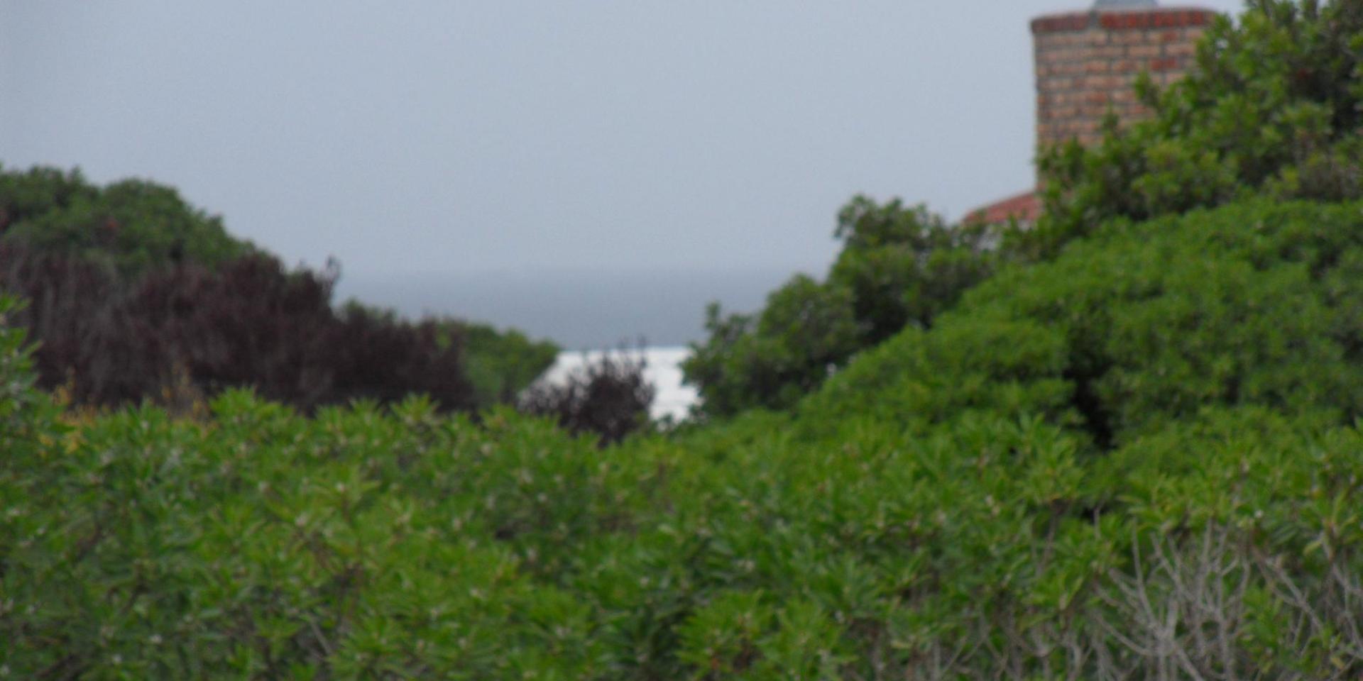 Image 2 of 6