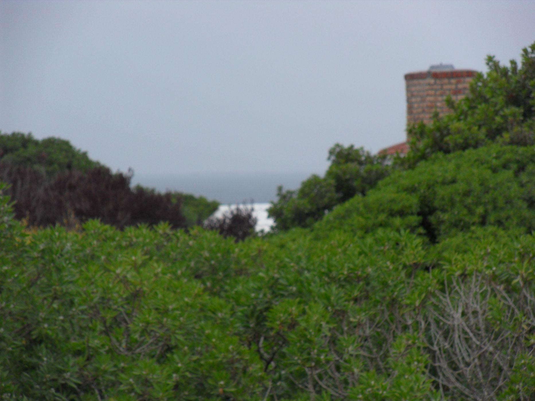 Image 2 of 6
