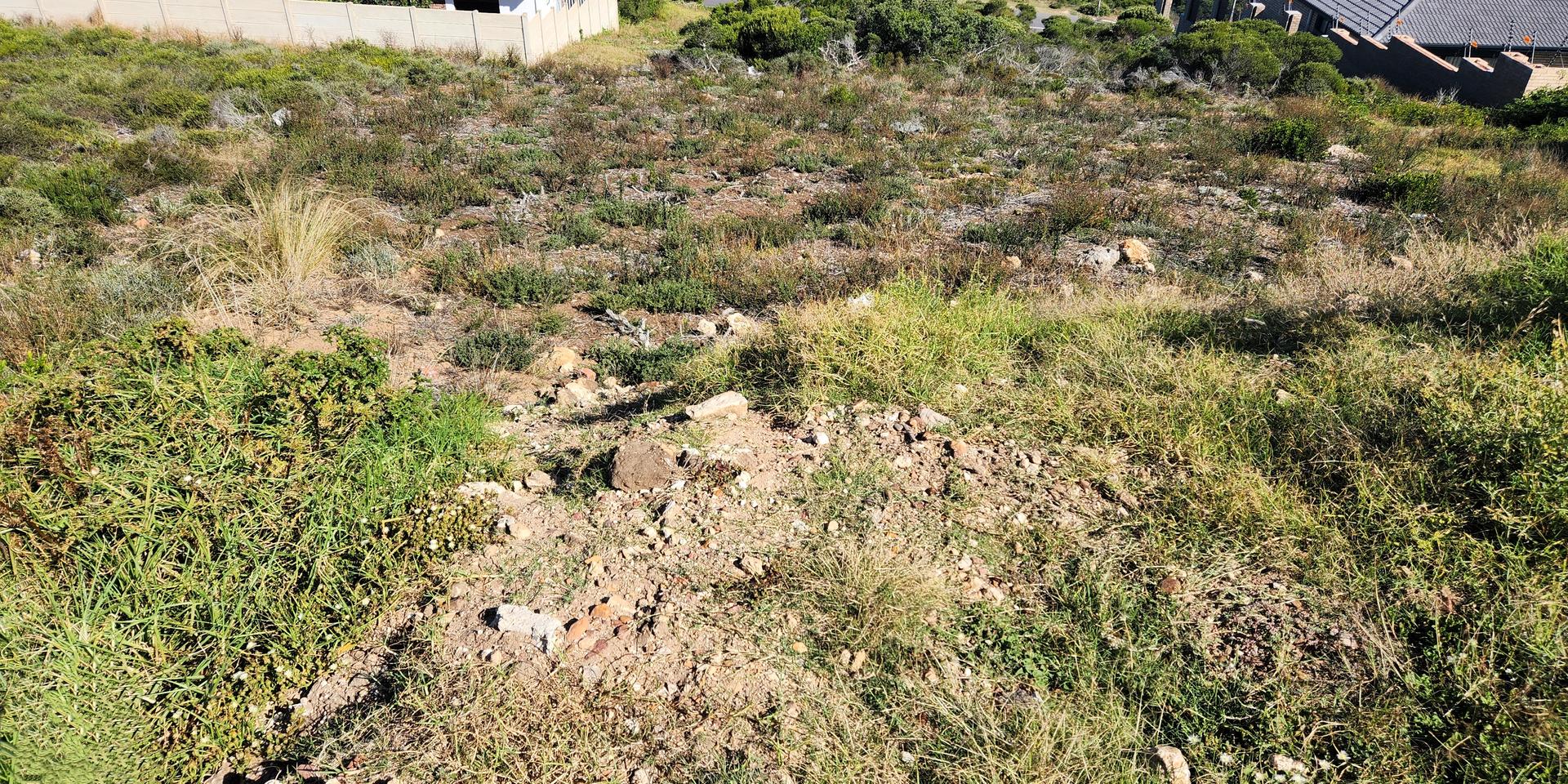 Image 3 of 6