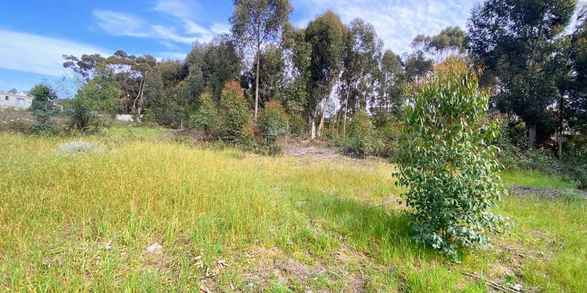 Image 4 of 6