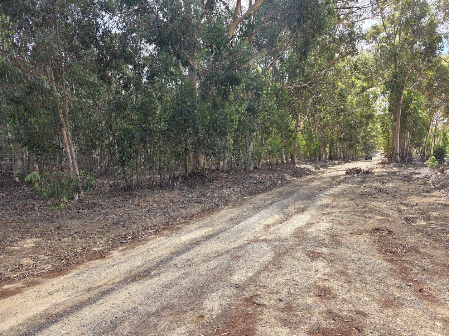 Image 15