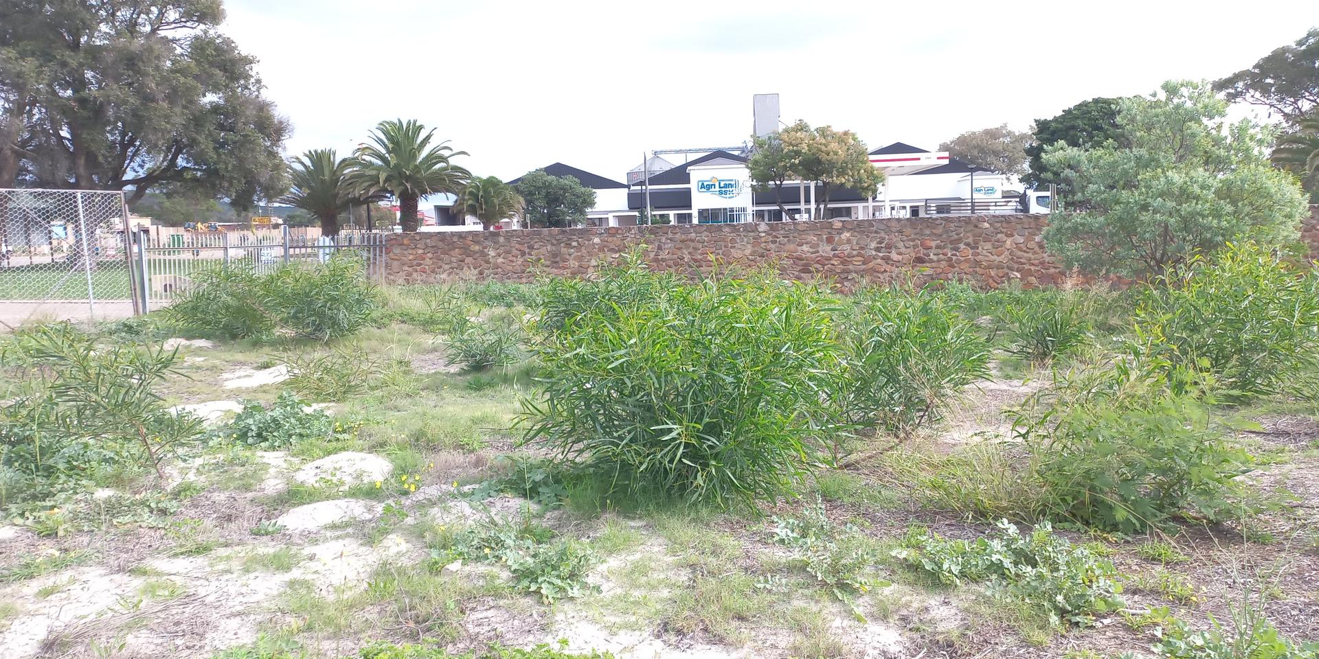 Image 4 of 6