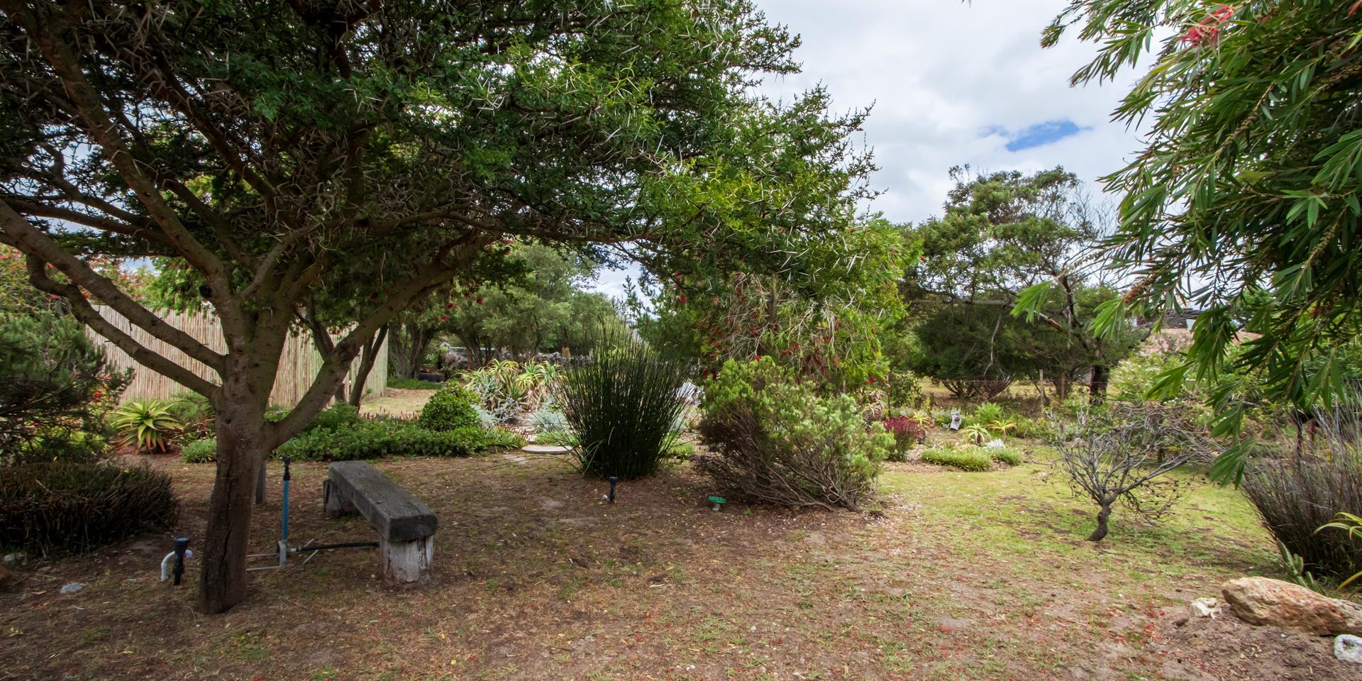 Image 2 of 6