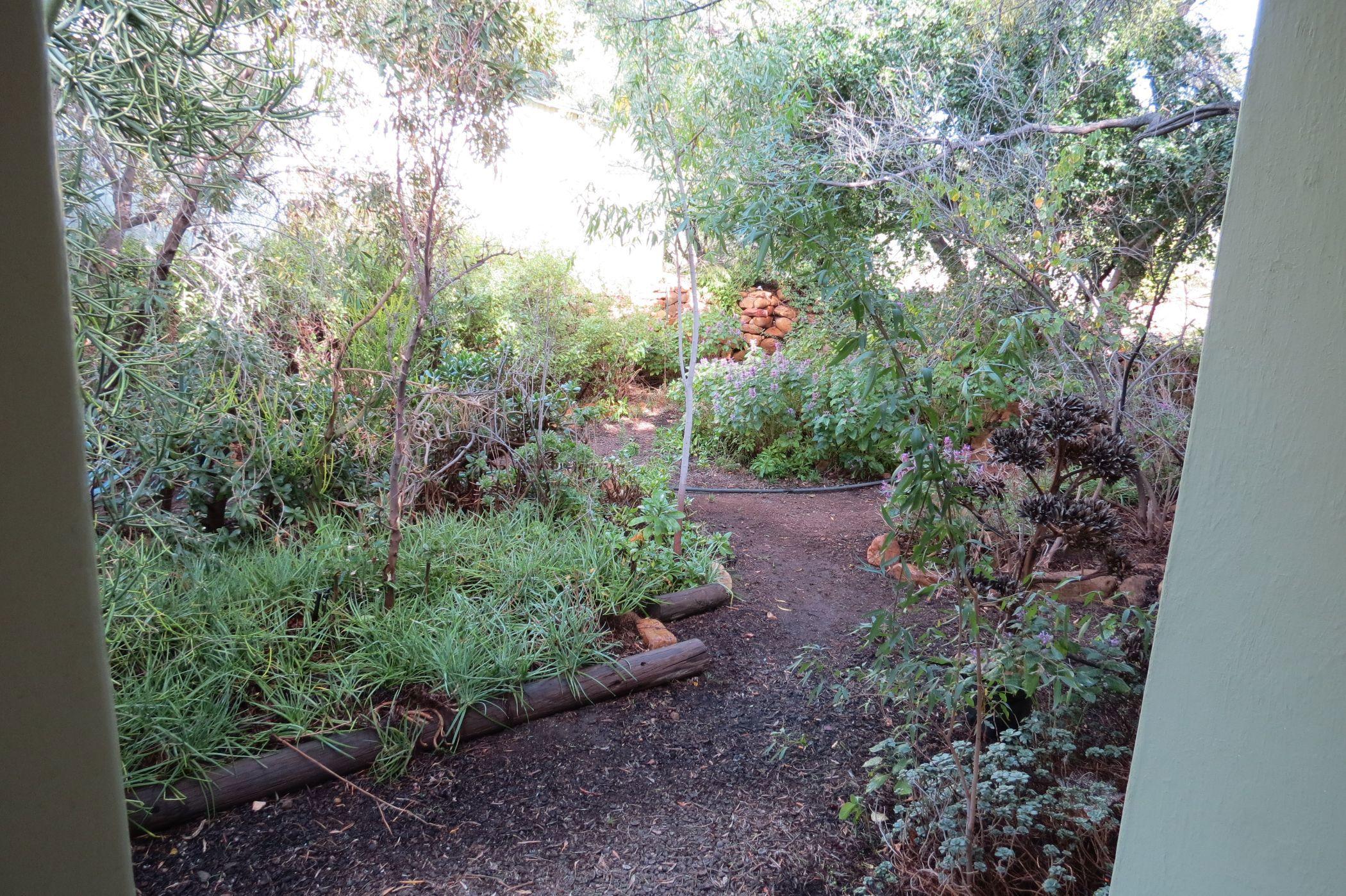 Image 37