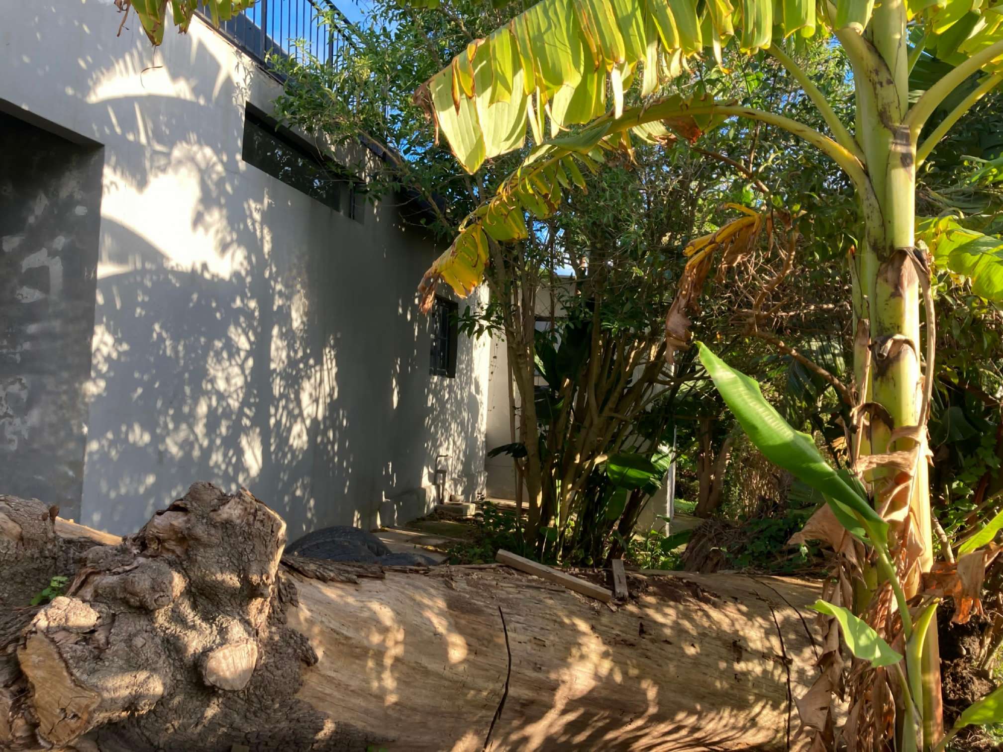 Image 12