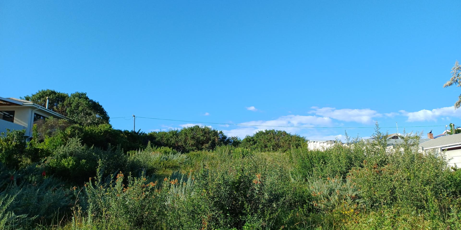 Image 5 of 6