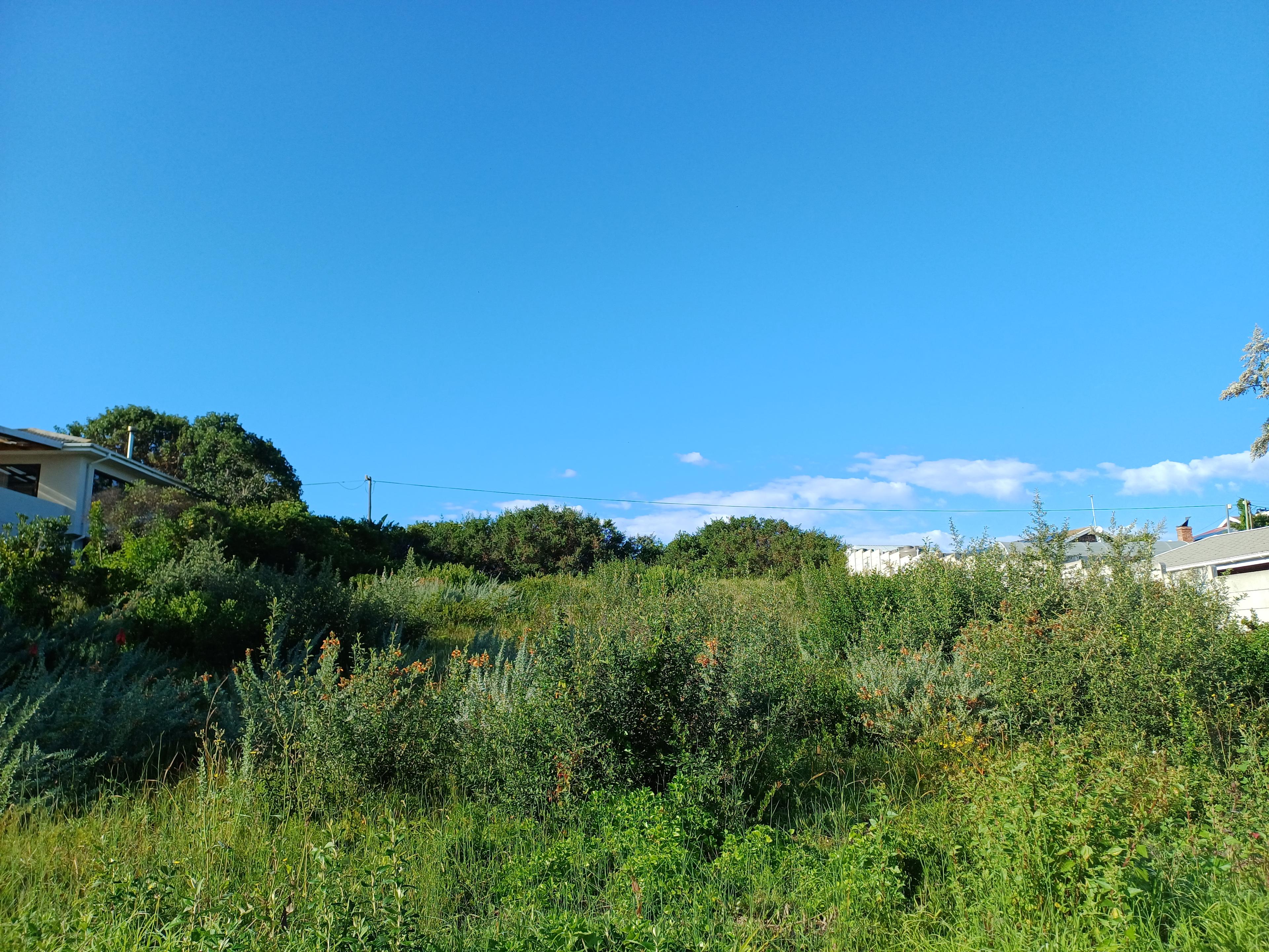 Image 5 of 6