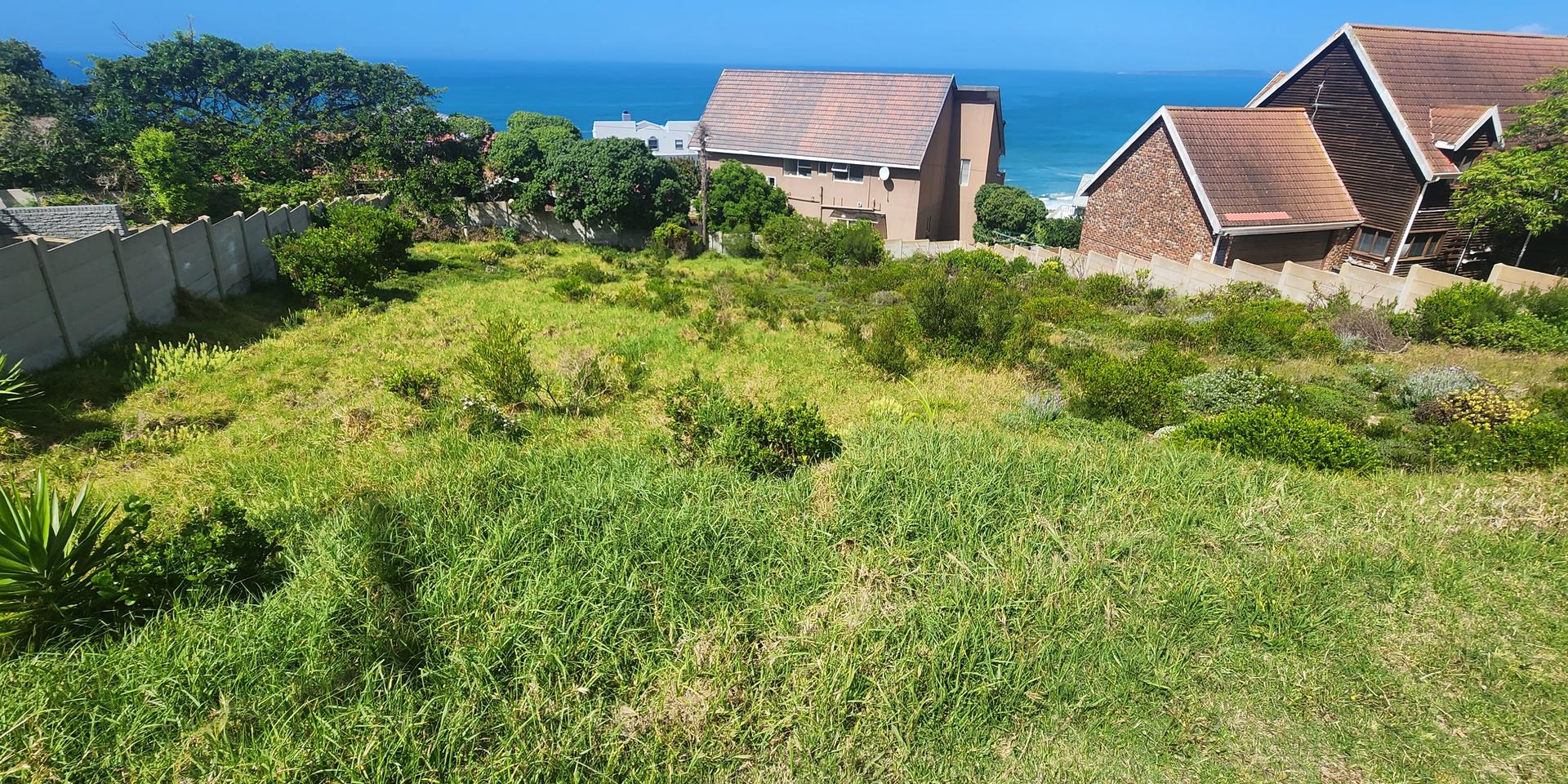 Image 4 of 6