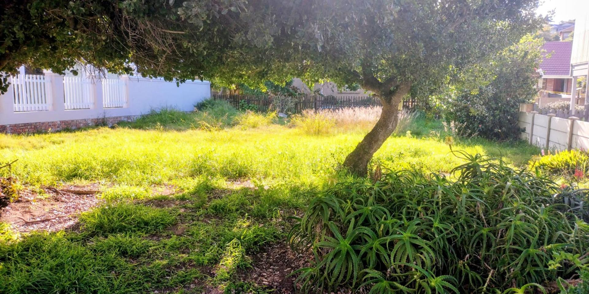 Image 2 of 6