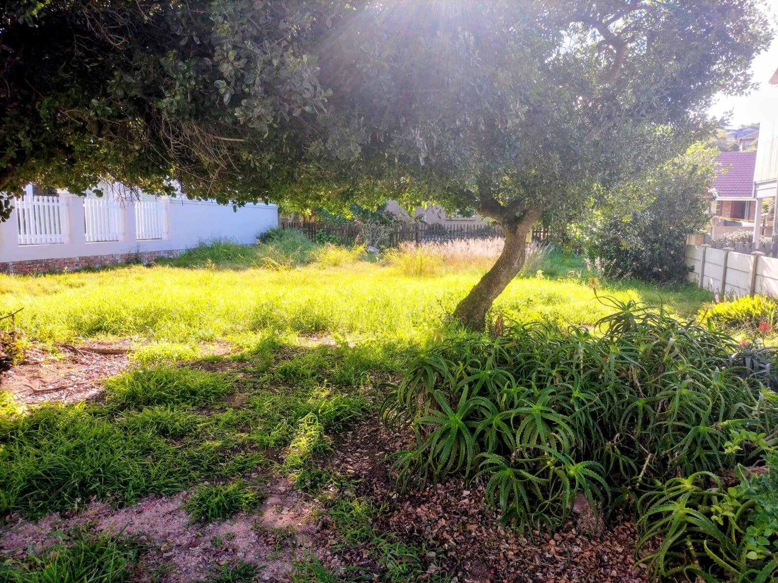 Image 2 of 6