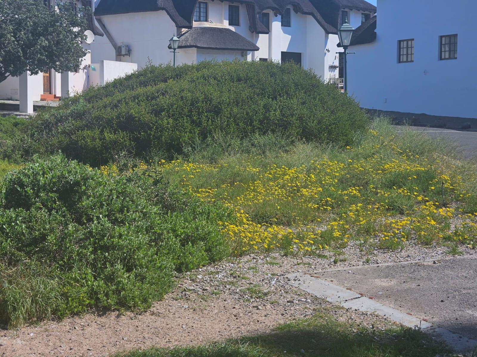 Image 3 of 6