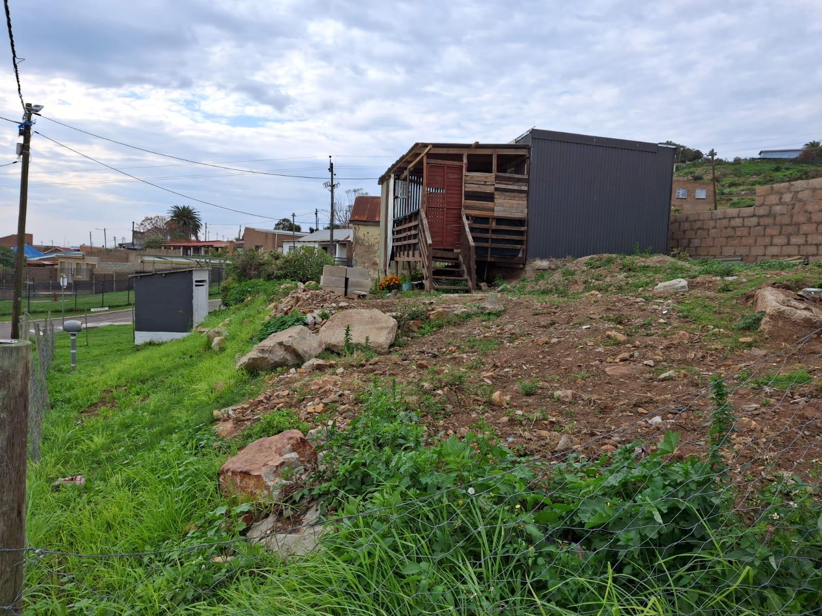 Image 12