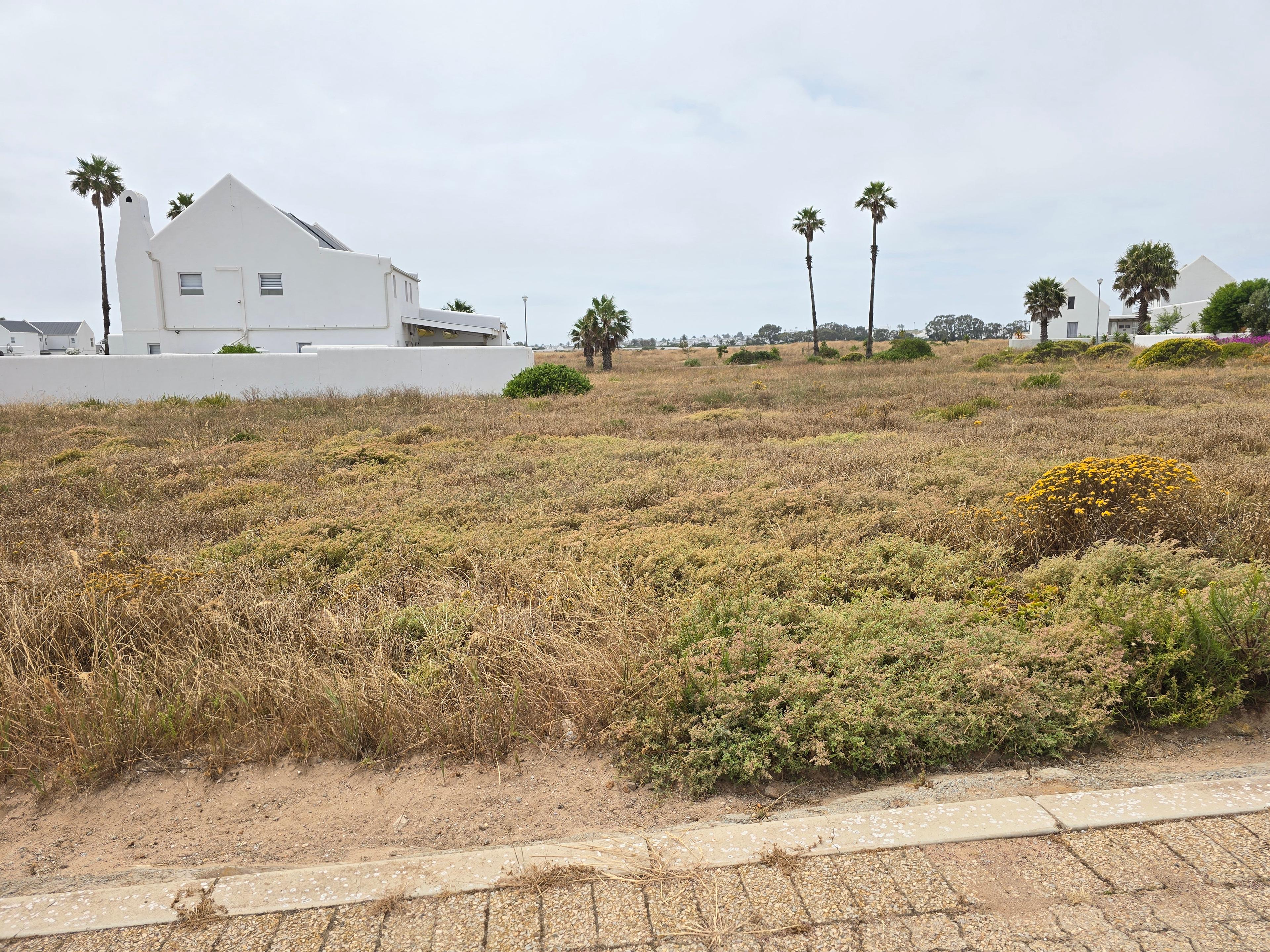 Image 15