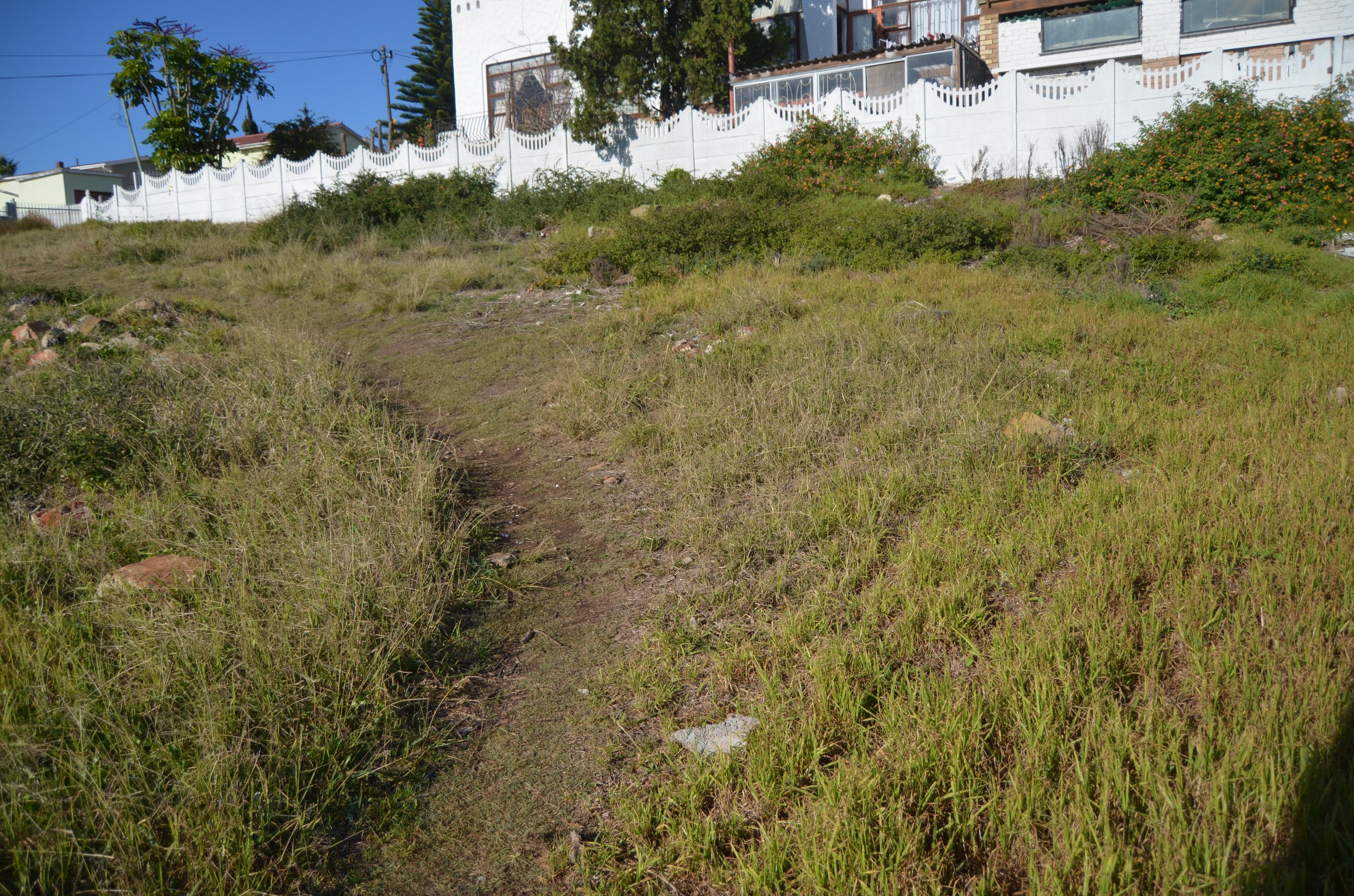 Image 5 of 6