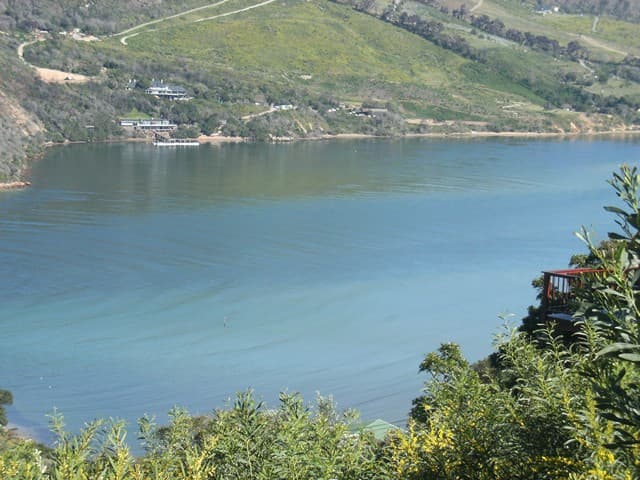 Image 17