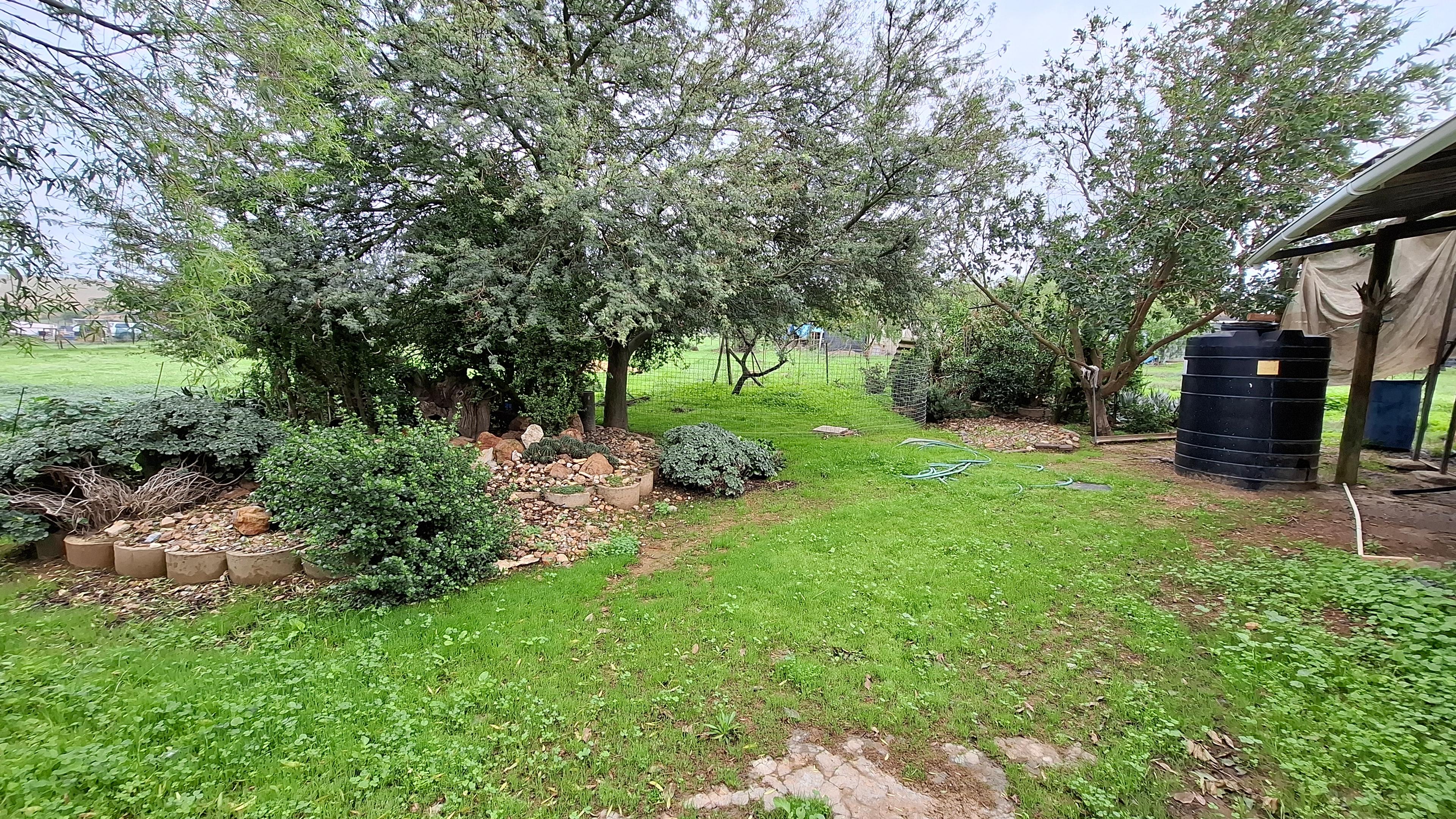 Image 2 of 6