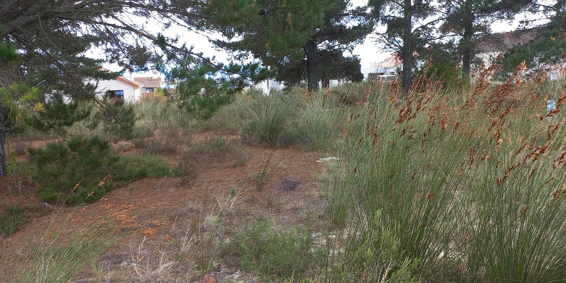 Image 5 of 6