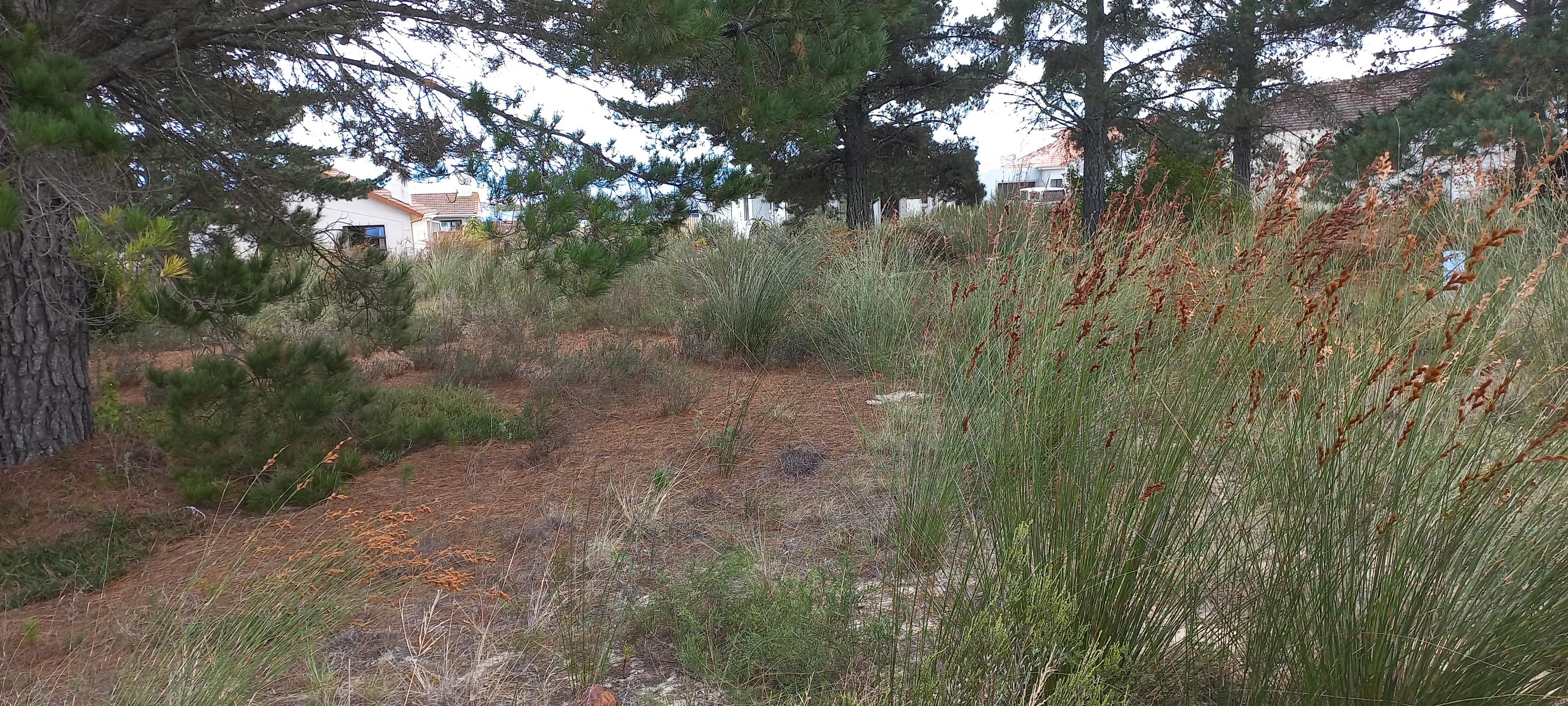 Image 5 of 6
