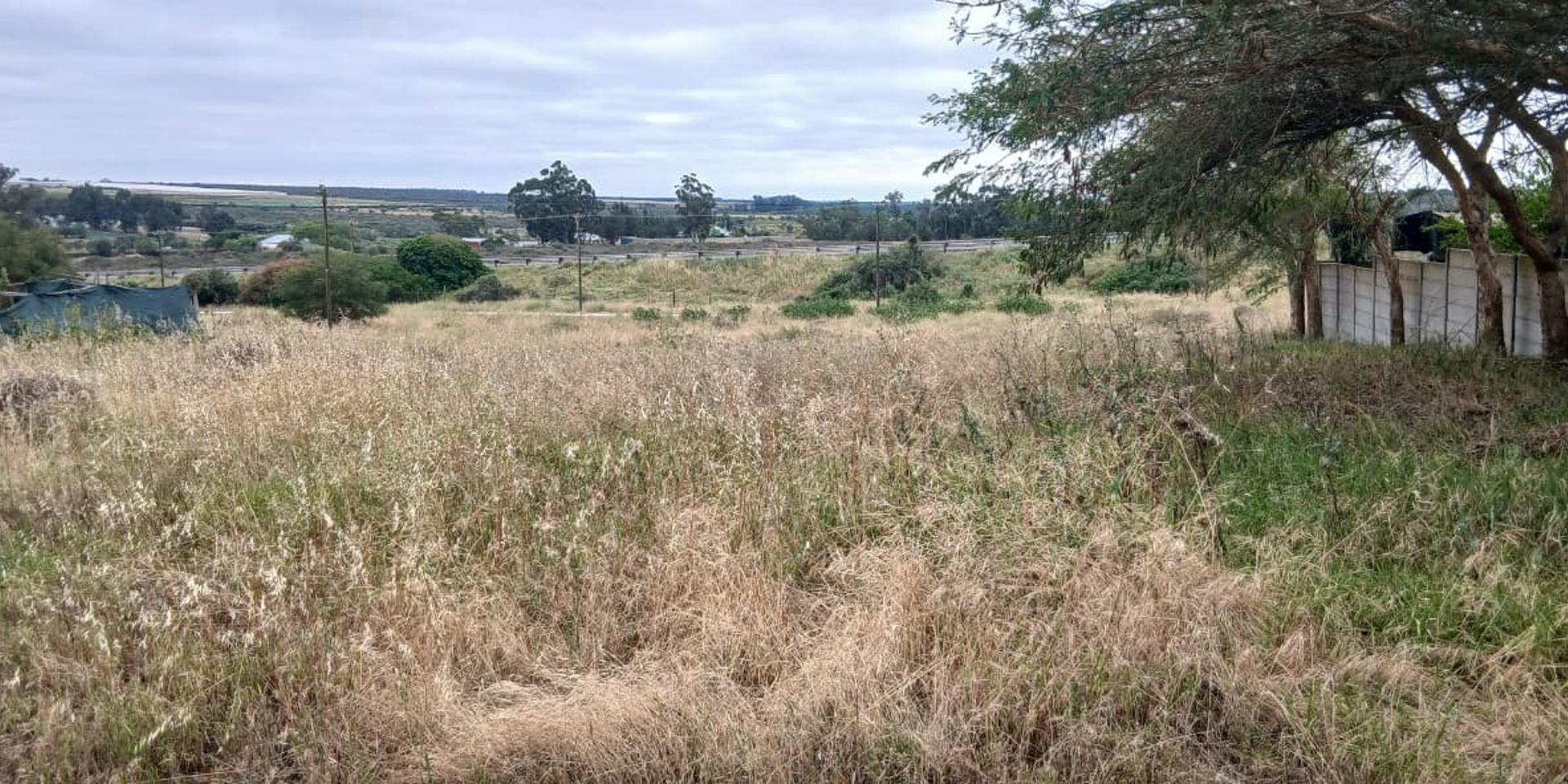 Image 4 of 6
