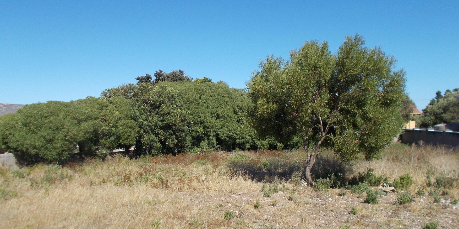 Image 2 of 6